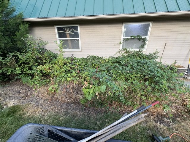 image25_1.jpeg