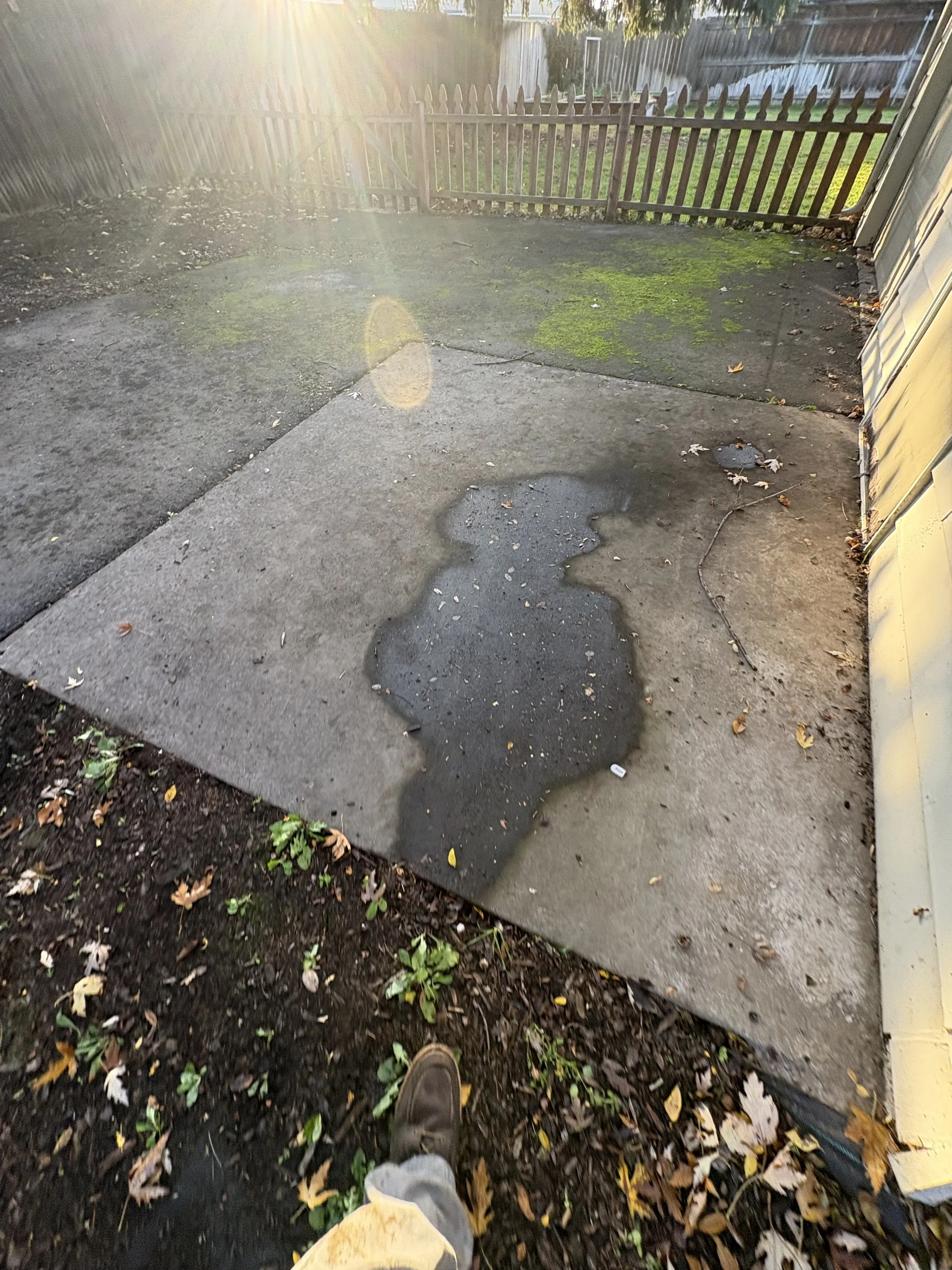 Roof Moss Removal