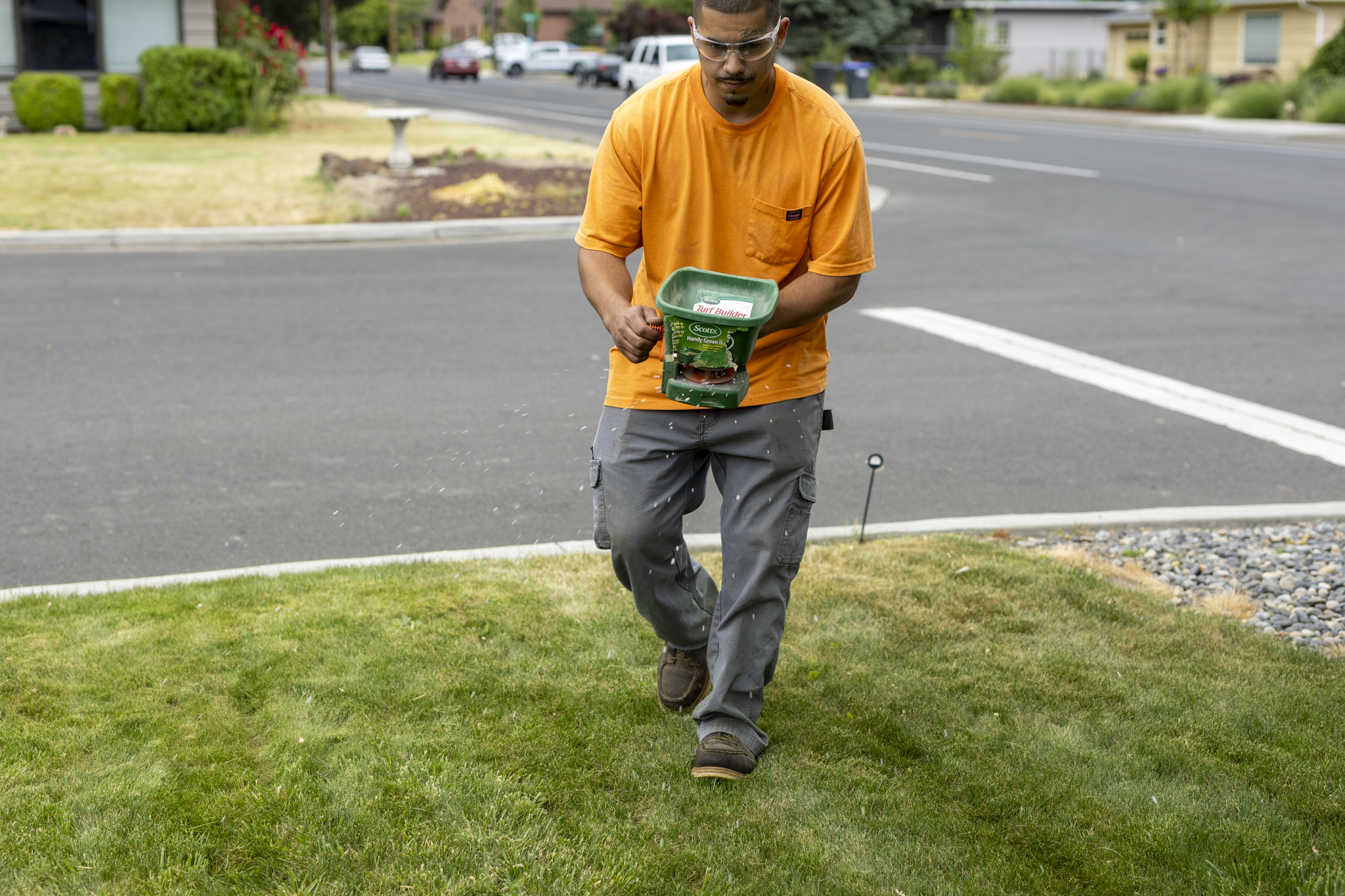 Landscaping: