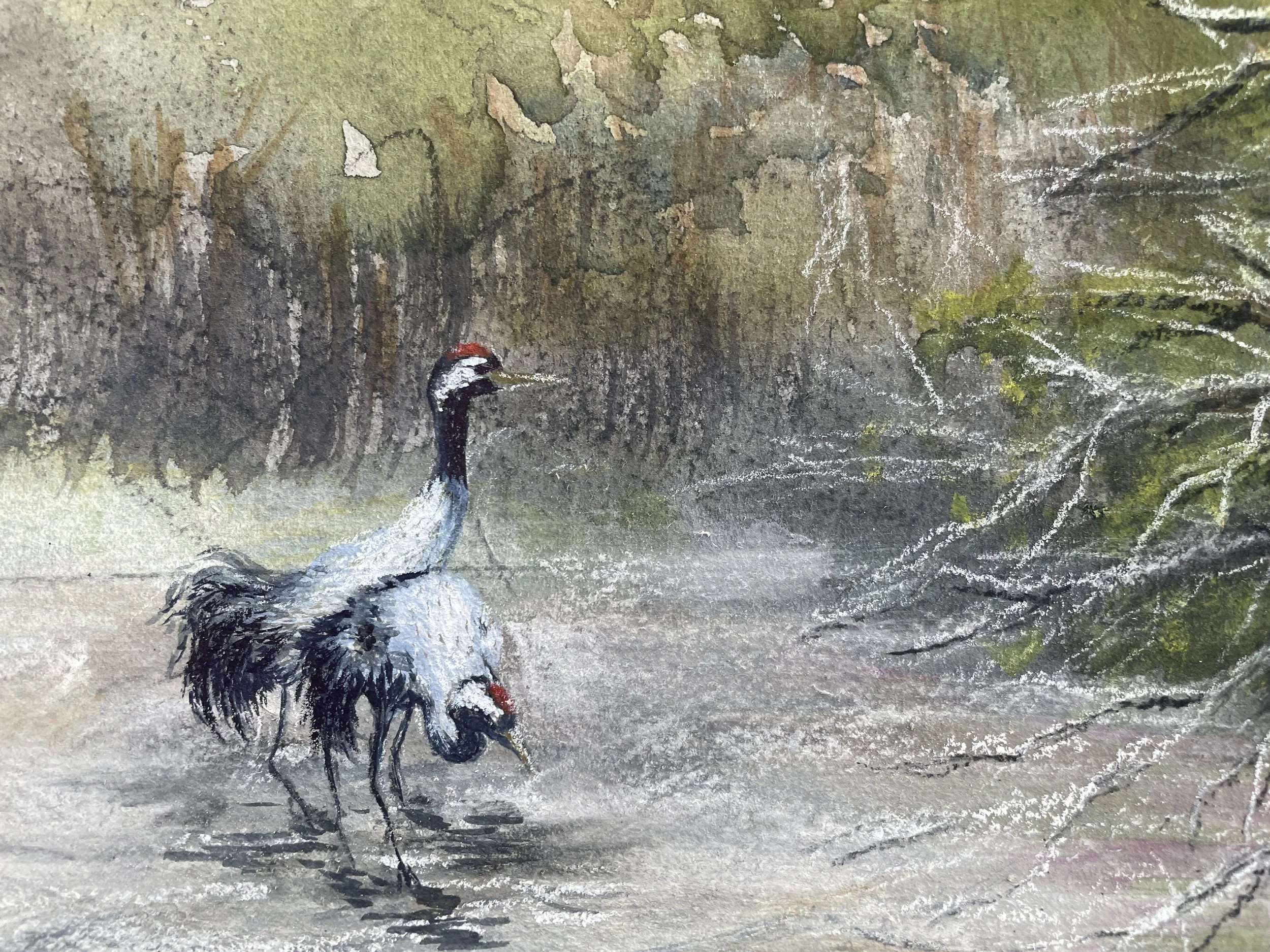 Between Frost and Thaw, a Quiet Crossing