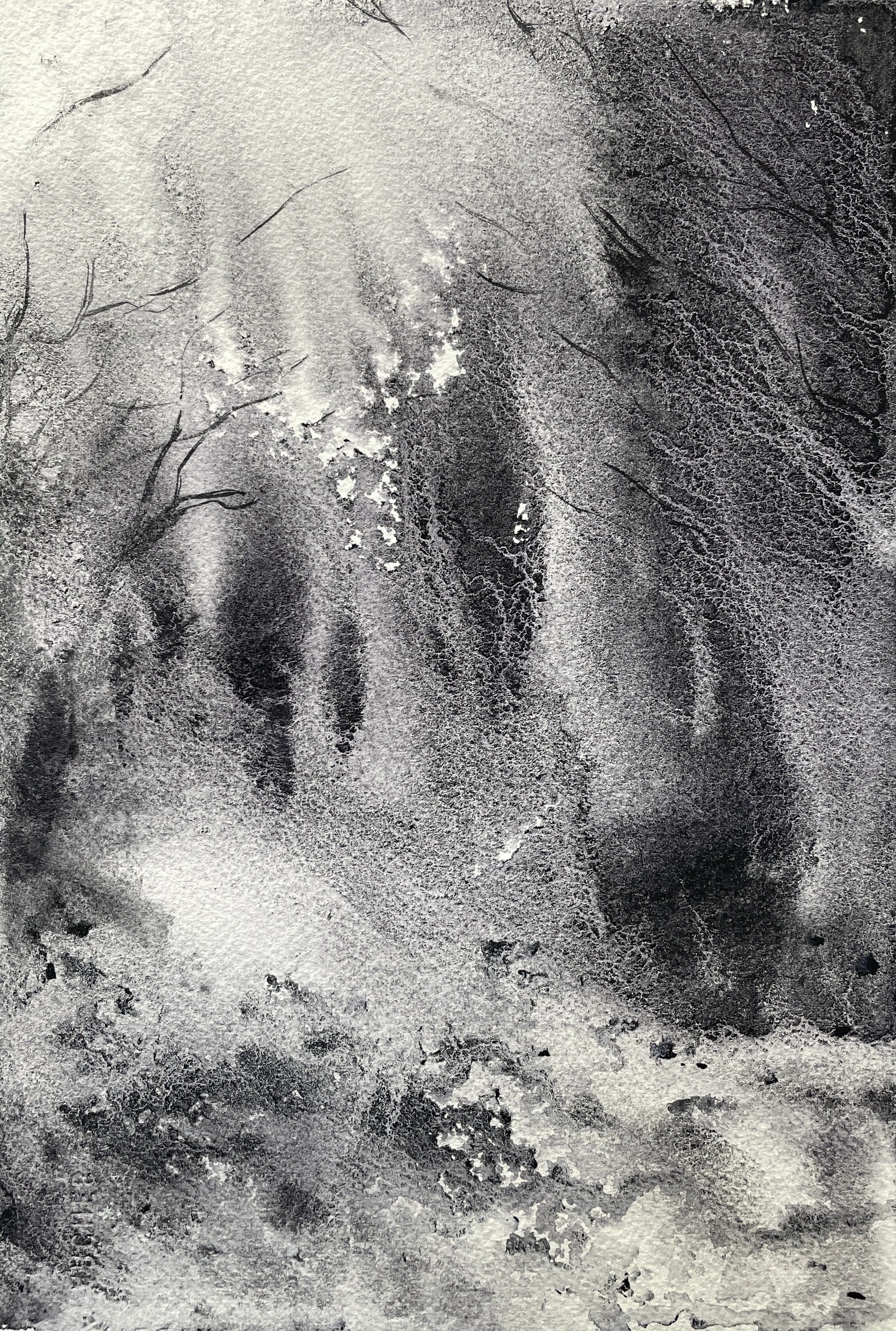 Forest landscape