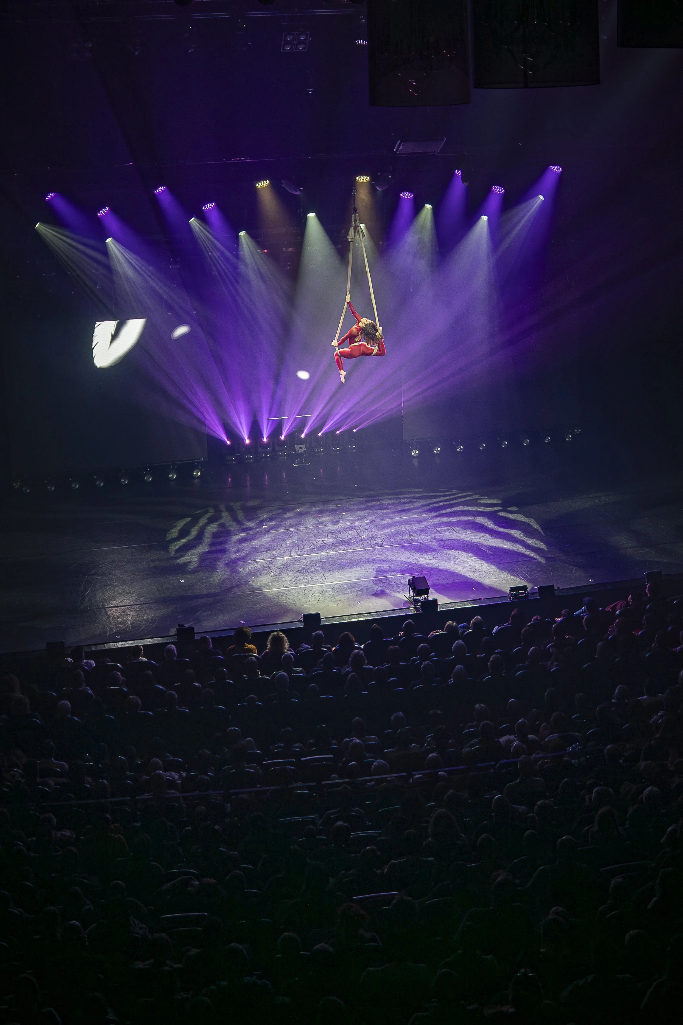 r190126.jpg
