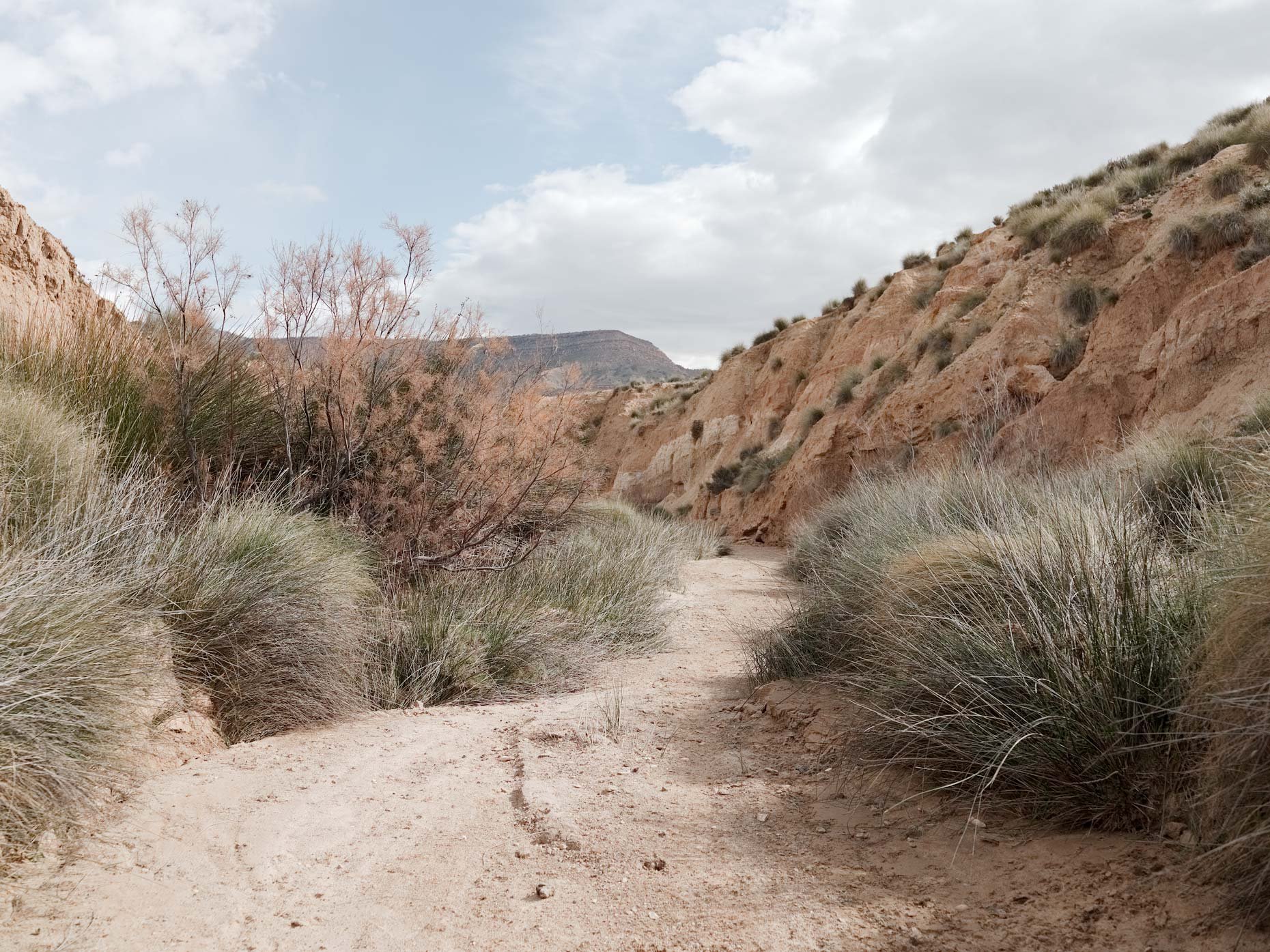A dirt trail winding through a desert landscape with dry grass, shrubs, and rocky hills under a partly cloudy sky.