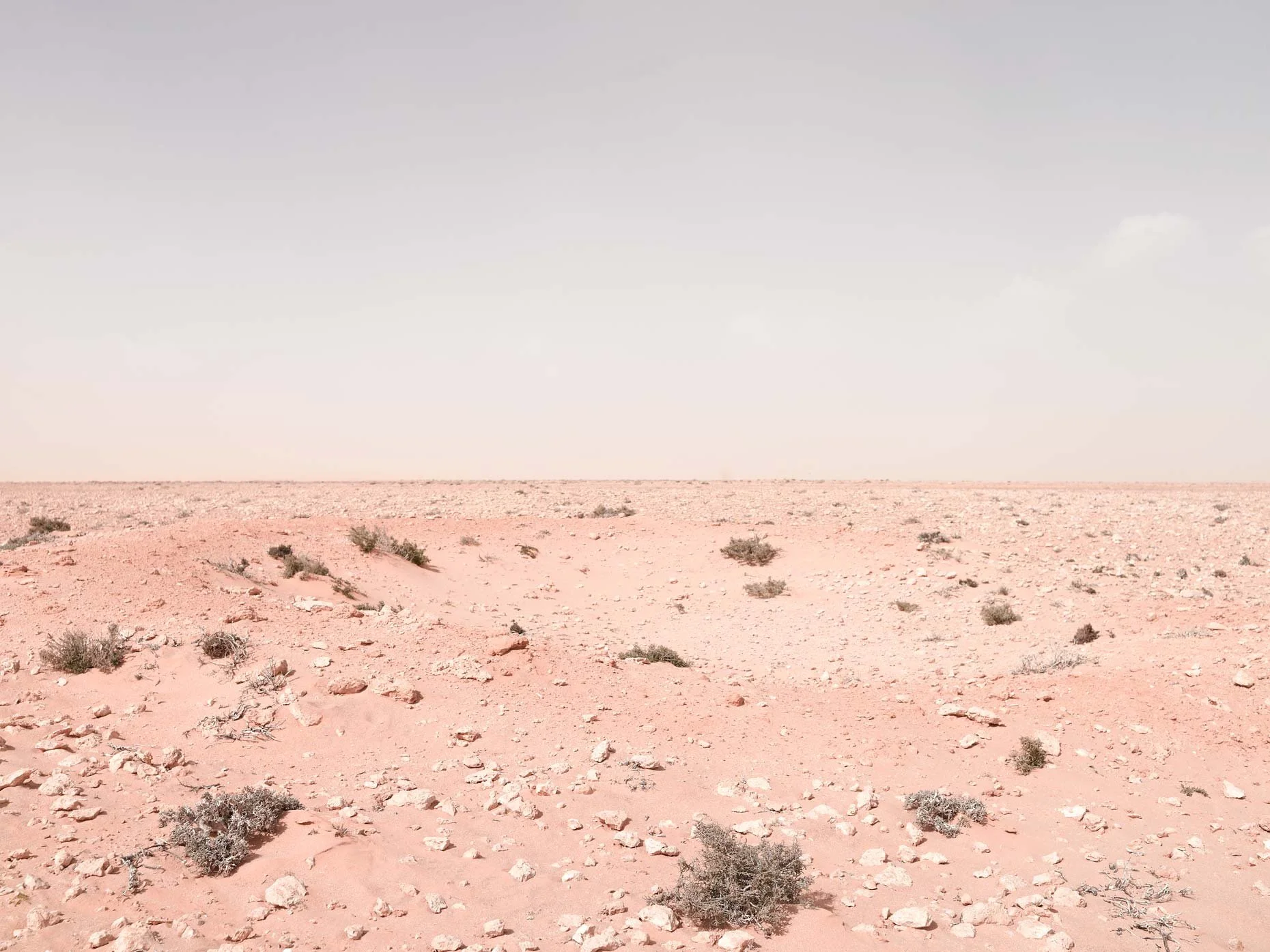 A desert landscape with reddish sand, scattered small bushes, and a pale sky.