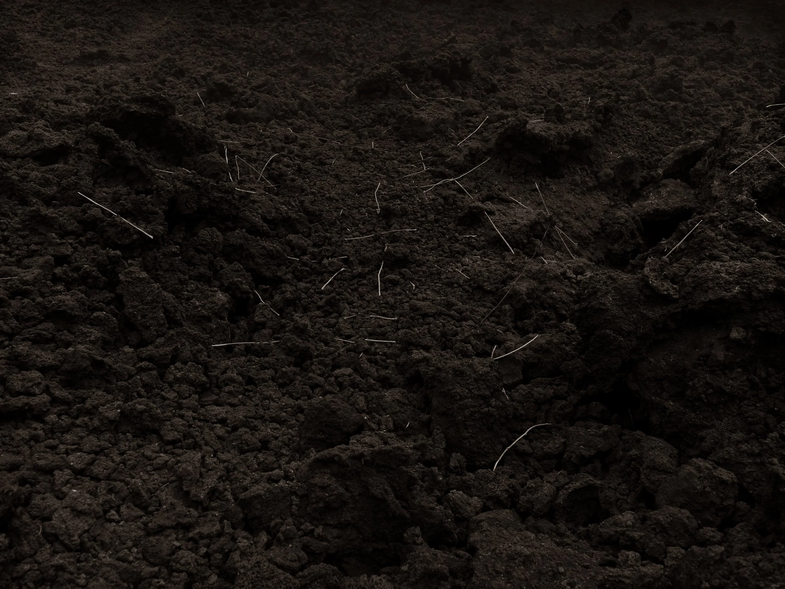 Close-up of dark, cooled lava with small light-colored sticks and organic matter.