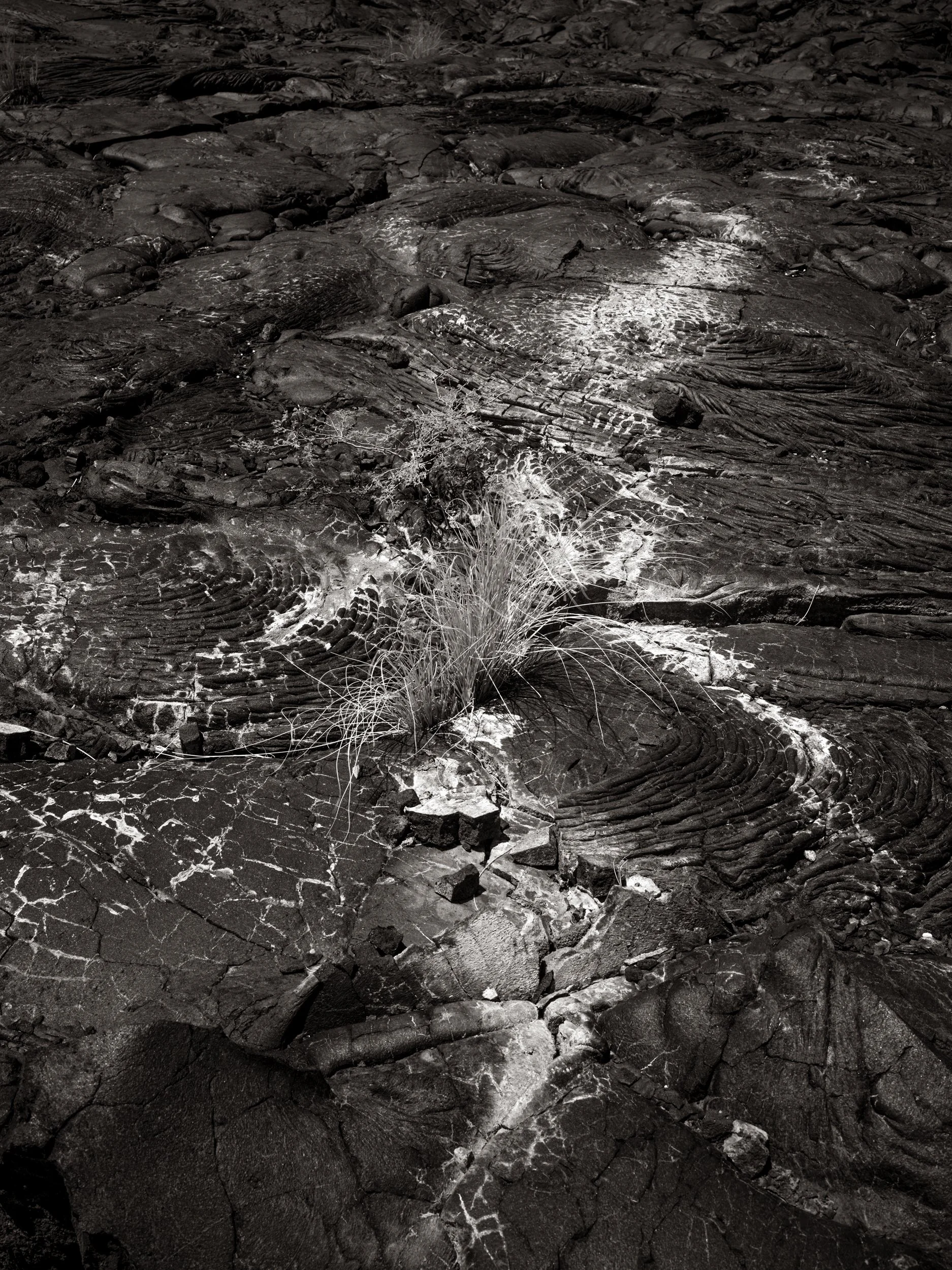 Close-up view of dark volcanic rocks with white mineral deposits and sparse dry grass.
