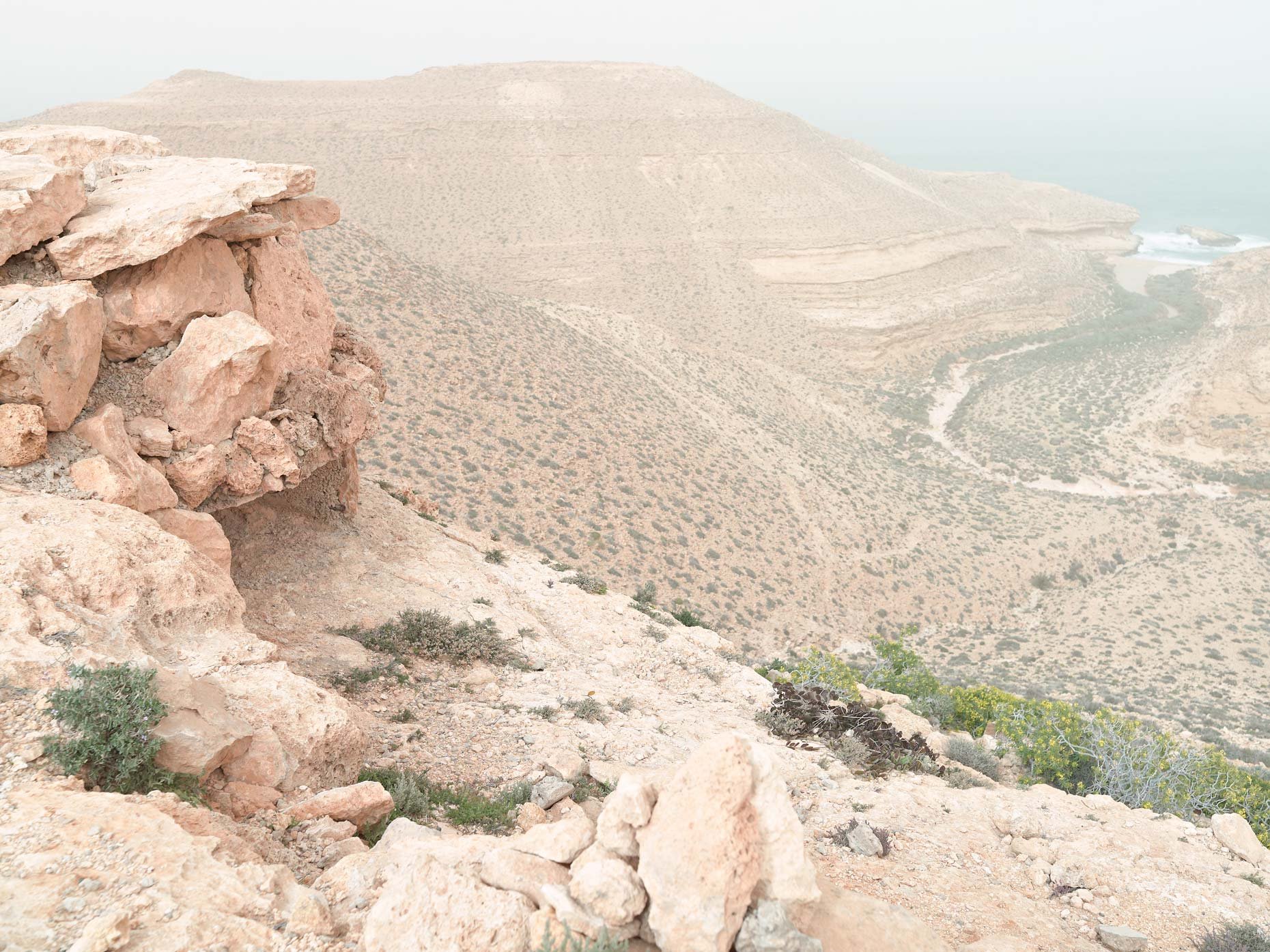Desert landscape with rocky foreground, sparse bushes, and distant hills under a pale sky.