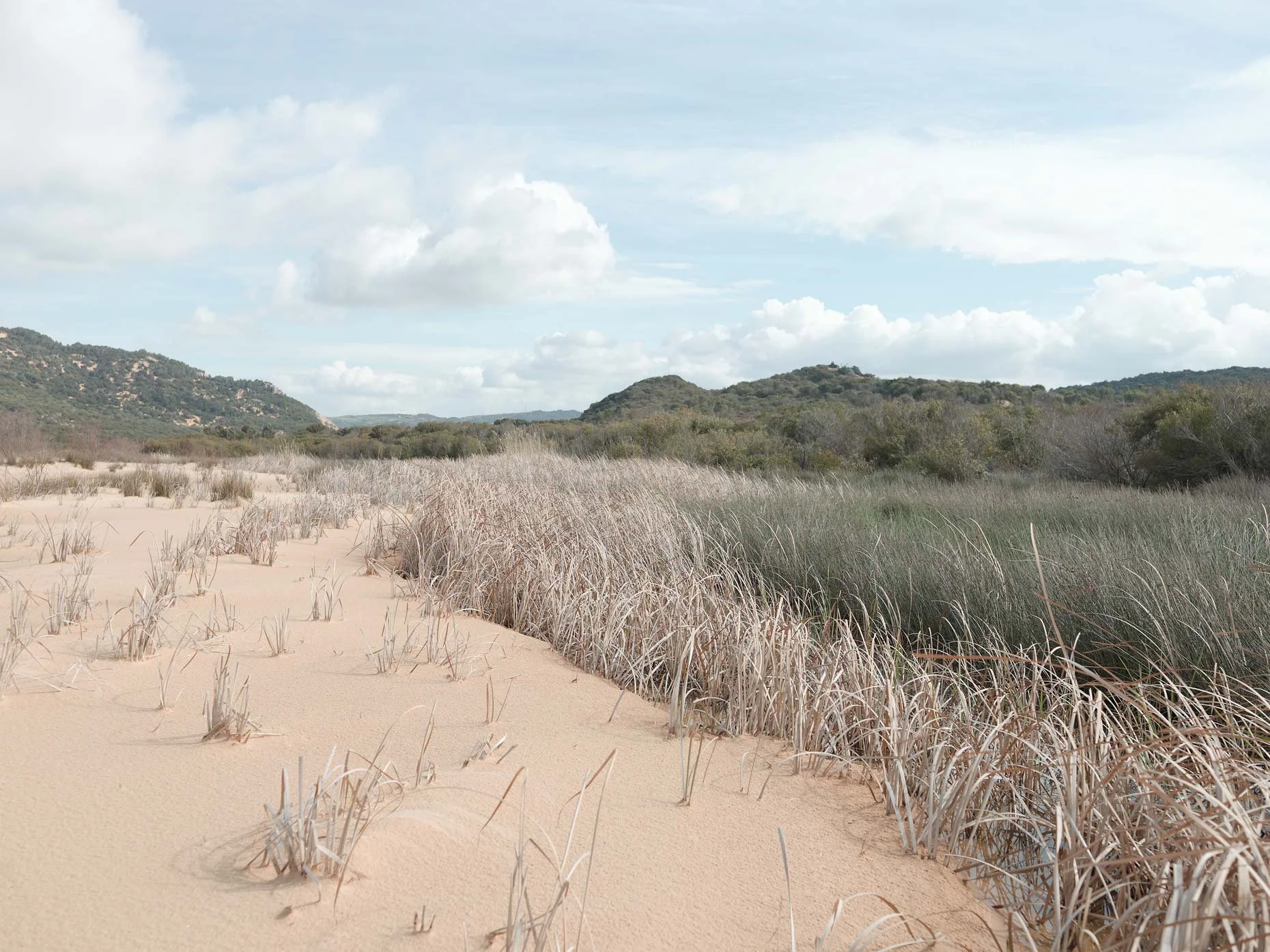 A sandy beach with dry grass in the foreground, green shrubs and hills in the background, and a partly cloudy sky overhead.
