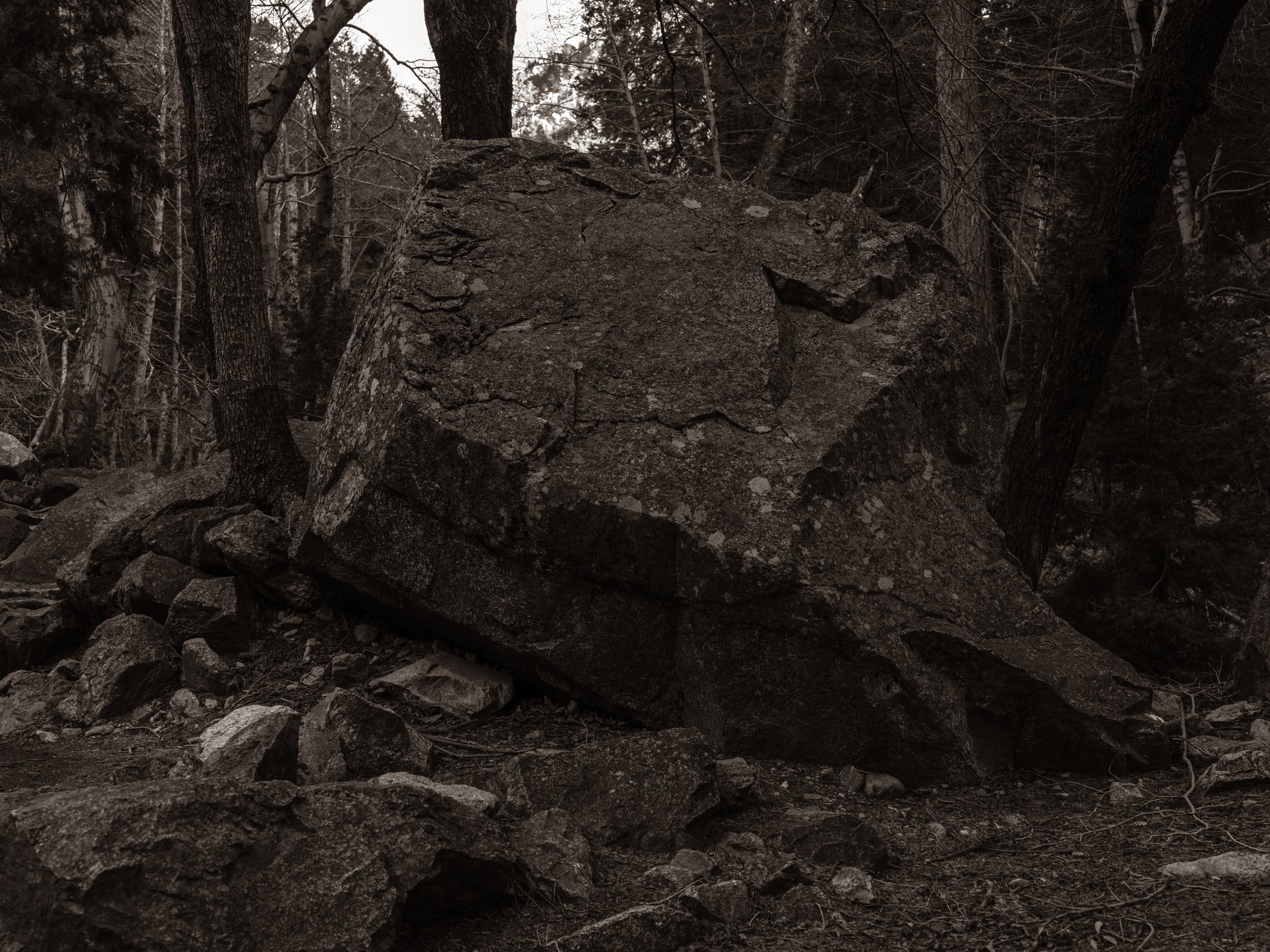 A large boulder in a forest with trees and rocks surrounding it, captured in black and white.