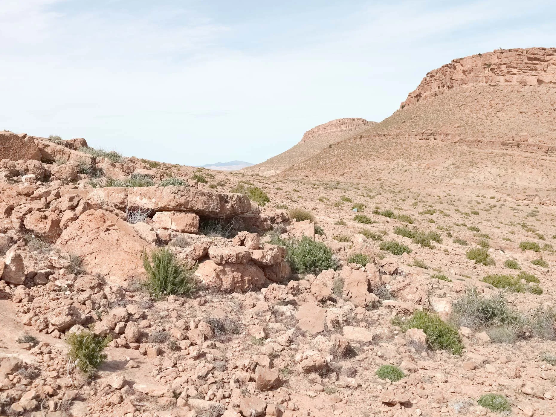 A desert landscape with reddish rocks, sparse green bushes, and large rock formations or cliffs in the background under a clear sky.