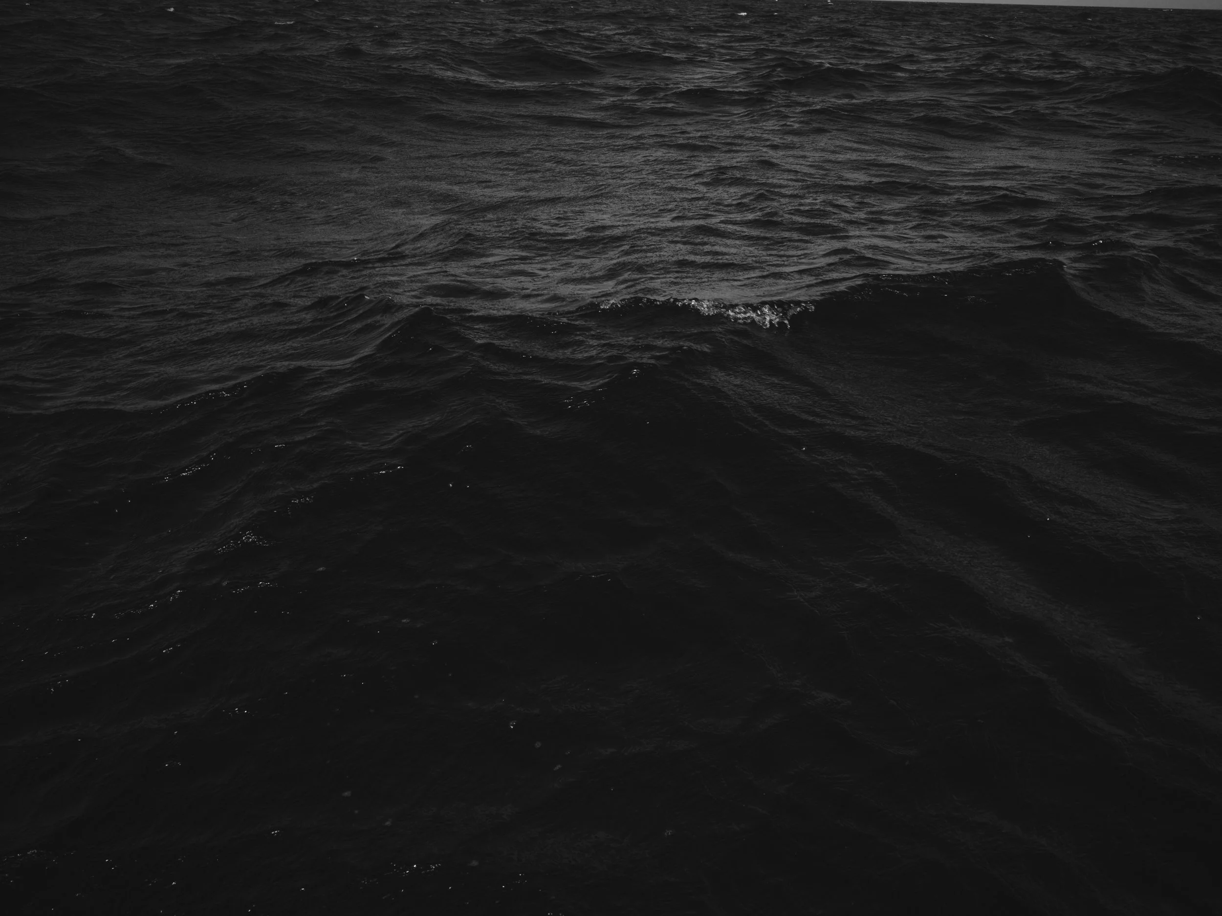 Dark, choppy ocean water with small waves and ripples.