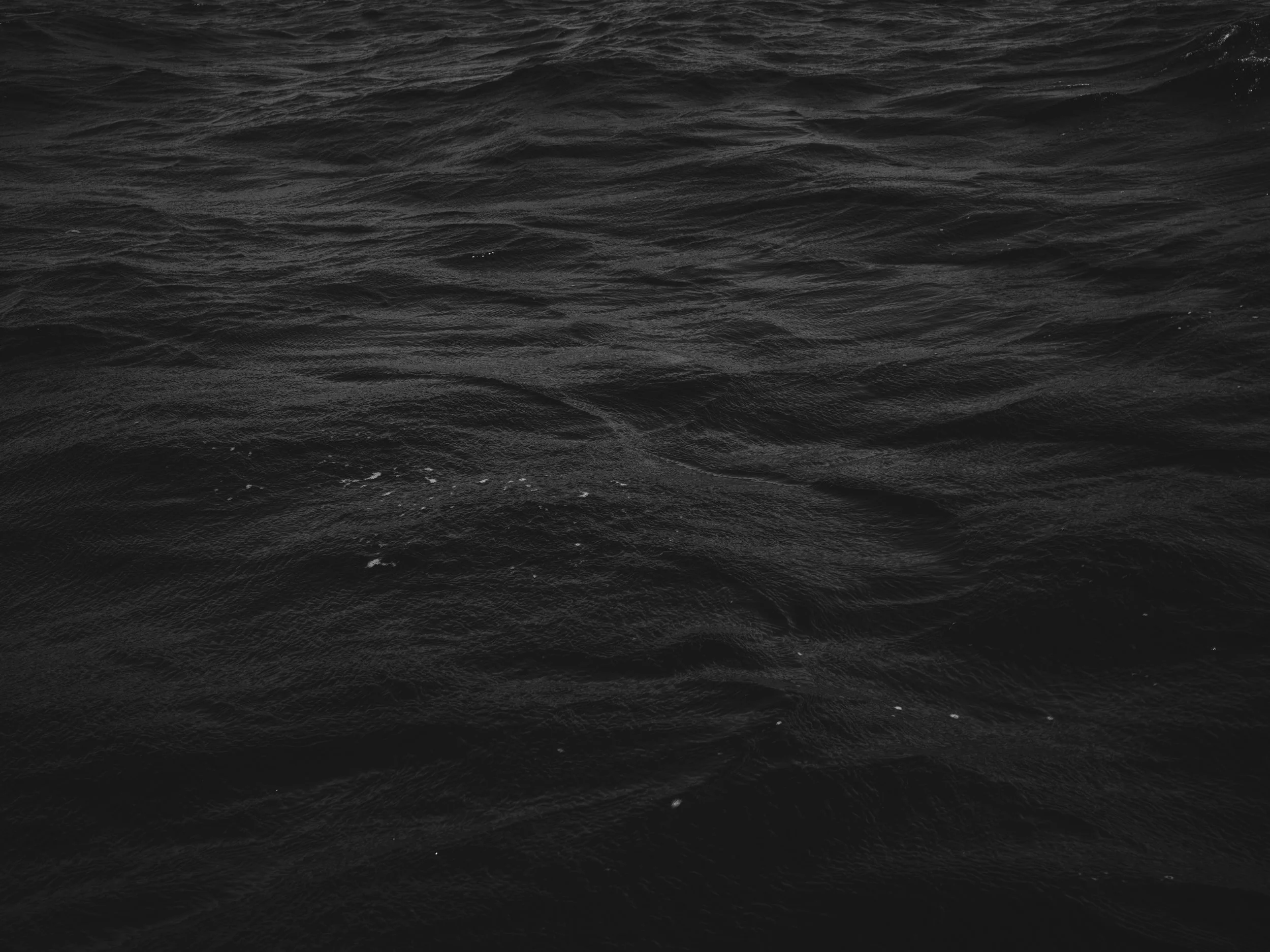 Dark, textured ocean surface with small waves and ripples.