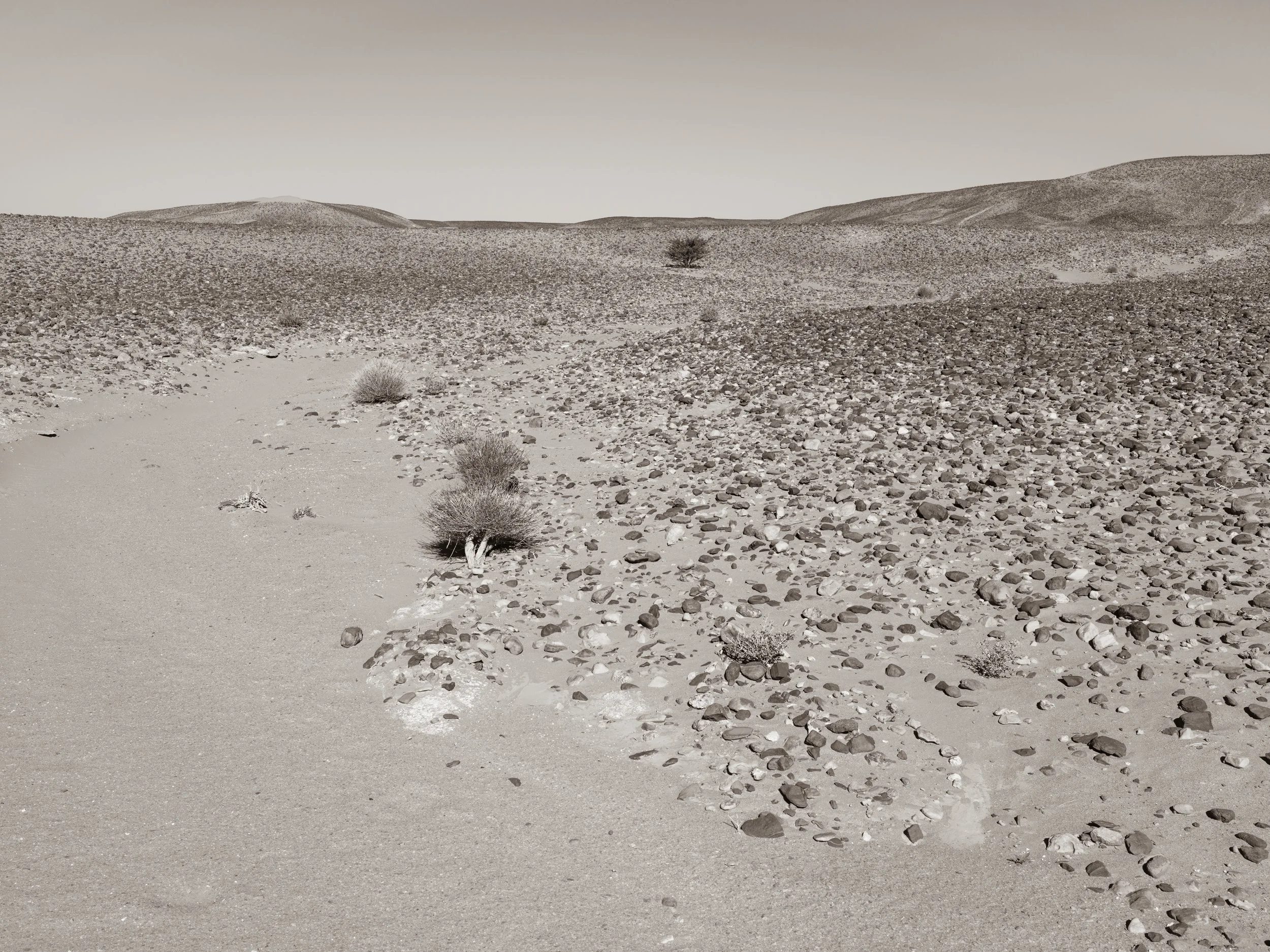 A desert landscape with small bushes, rocky terrain, and rolling hills in the background under a clear sky.