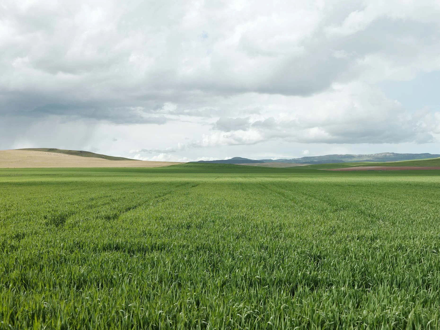 Wide view of green grassy fields under a cloudy sky with distant hills.