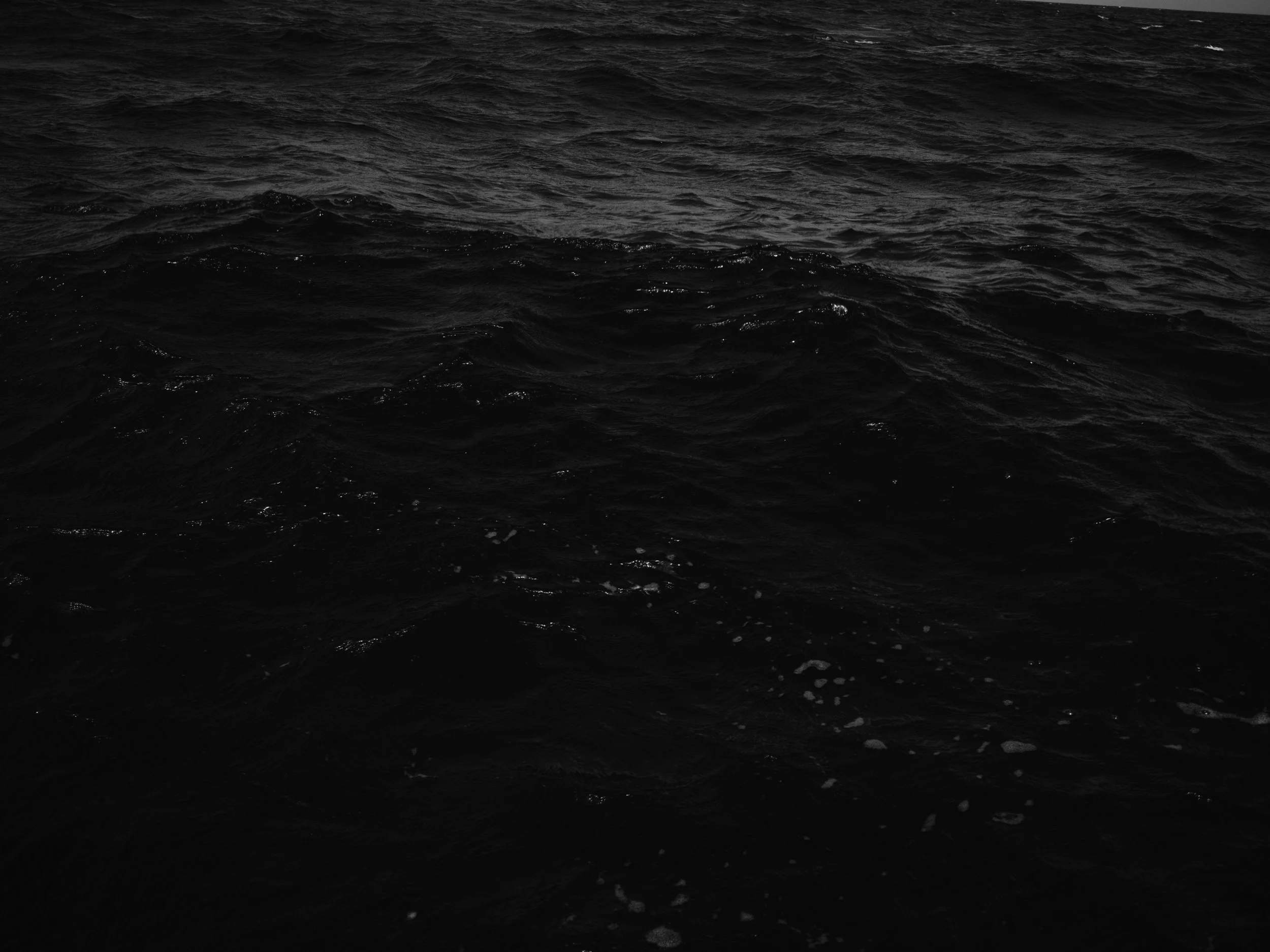 Dark, ocean water with visible small waves and ripples.