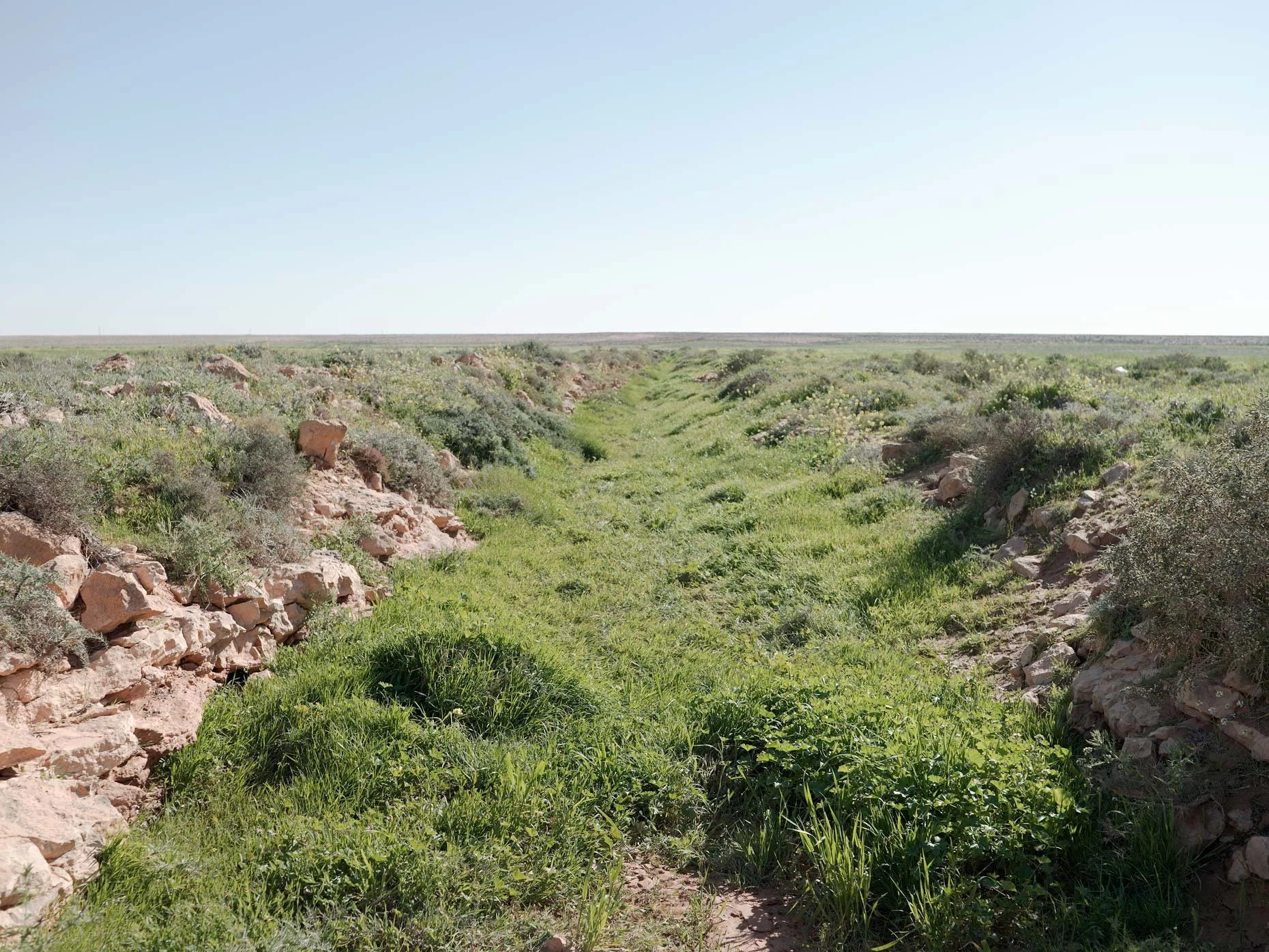 A dry, rocky landscape with a narrow green grassy trail in the middle, bordered by low bushes and rocks, extending into the horizon under a clear blue sky.