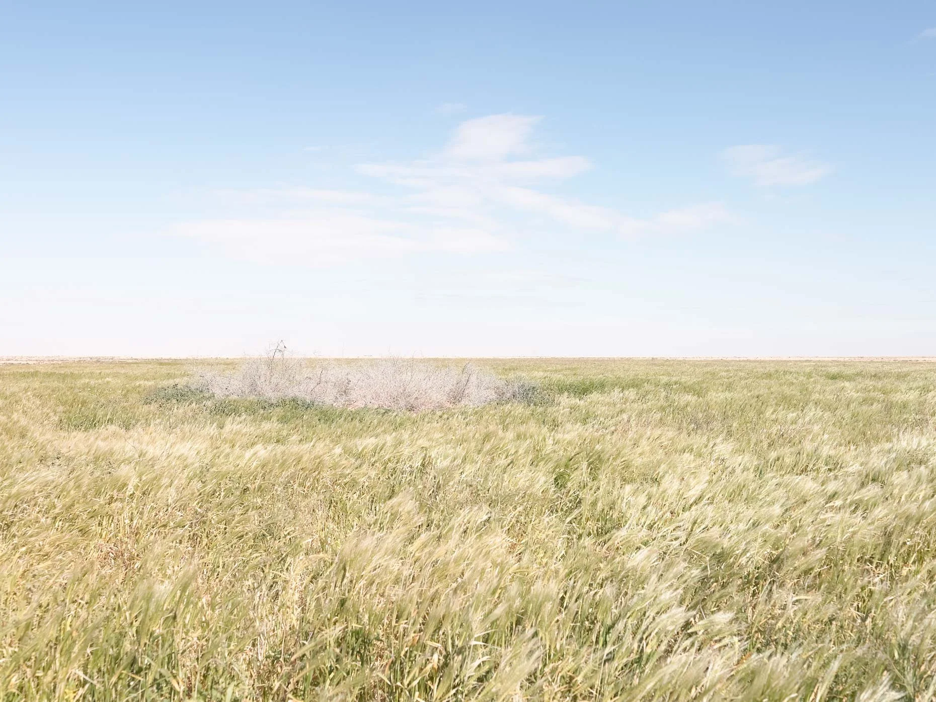 Open grassland field with a clear blue sky and scattered clouds.