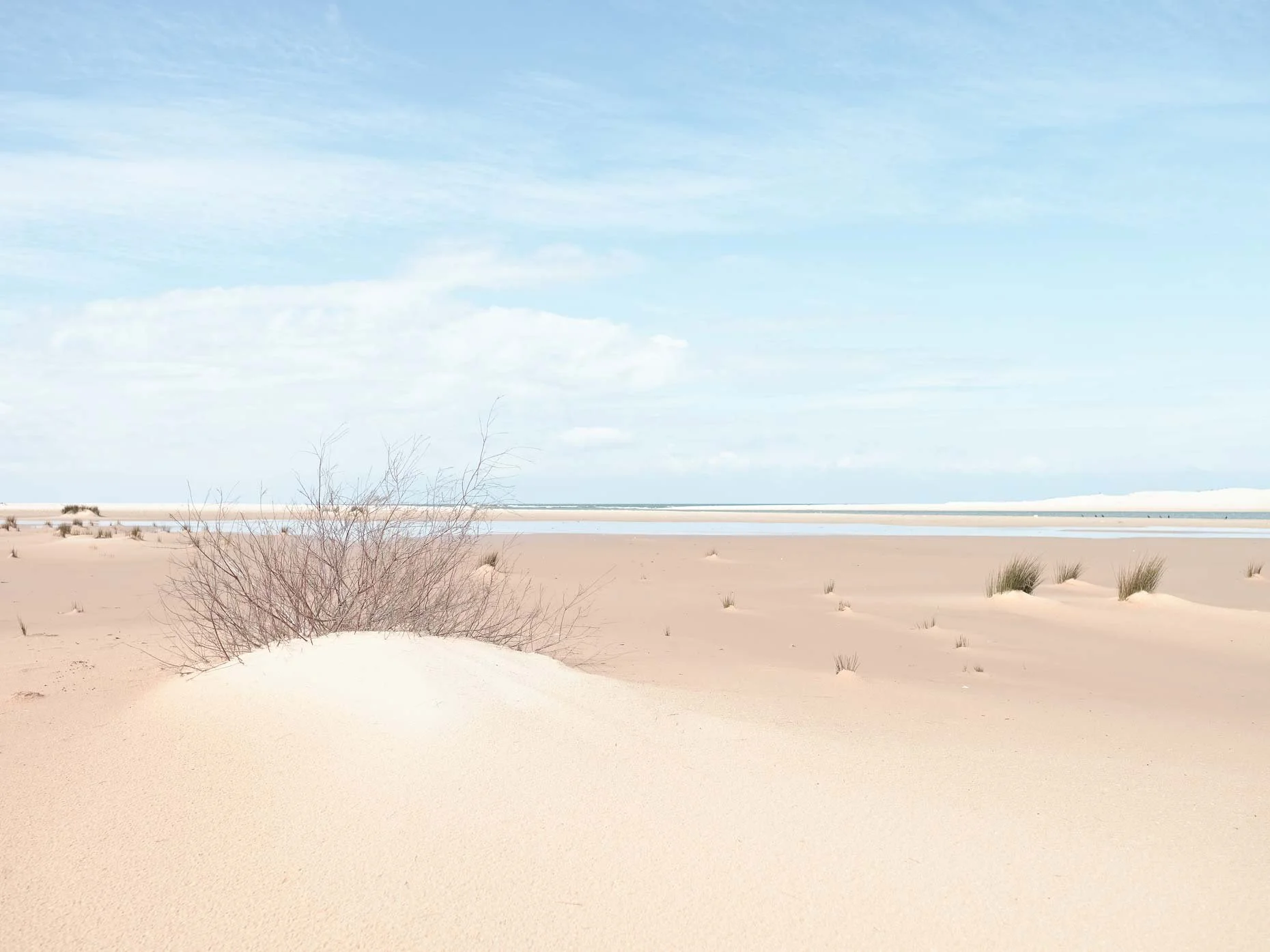 A wide sandy beach with sparse vegetation and small bushes, with water and a distant shoreline under a partly cloudy sky.