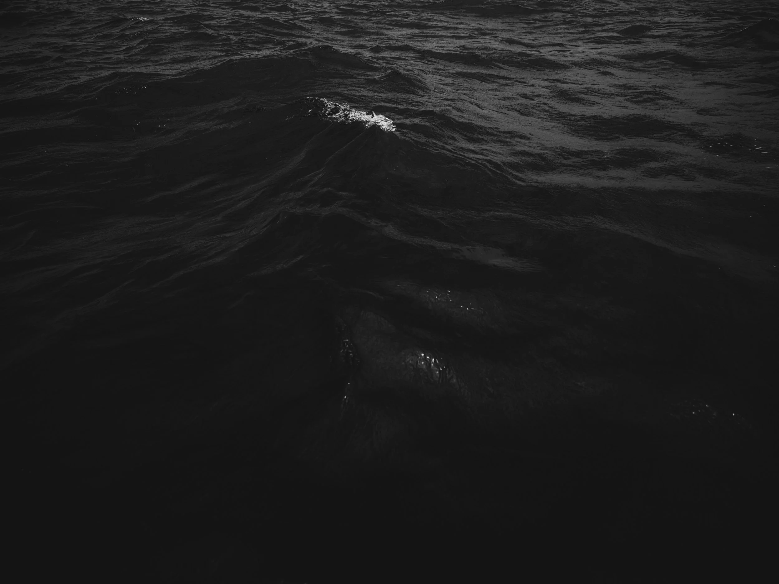 Dark ocean waves in black and white.