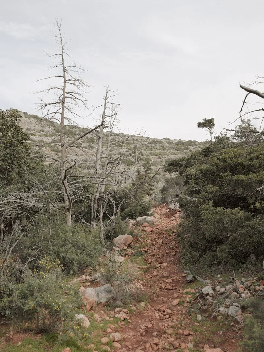 A rugged dirt trail winding through a desert landscape with sparse vegetation, rocks, and leafless trees, leading up a hillside under a cloudy sky.