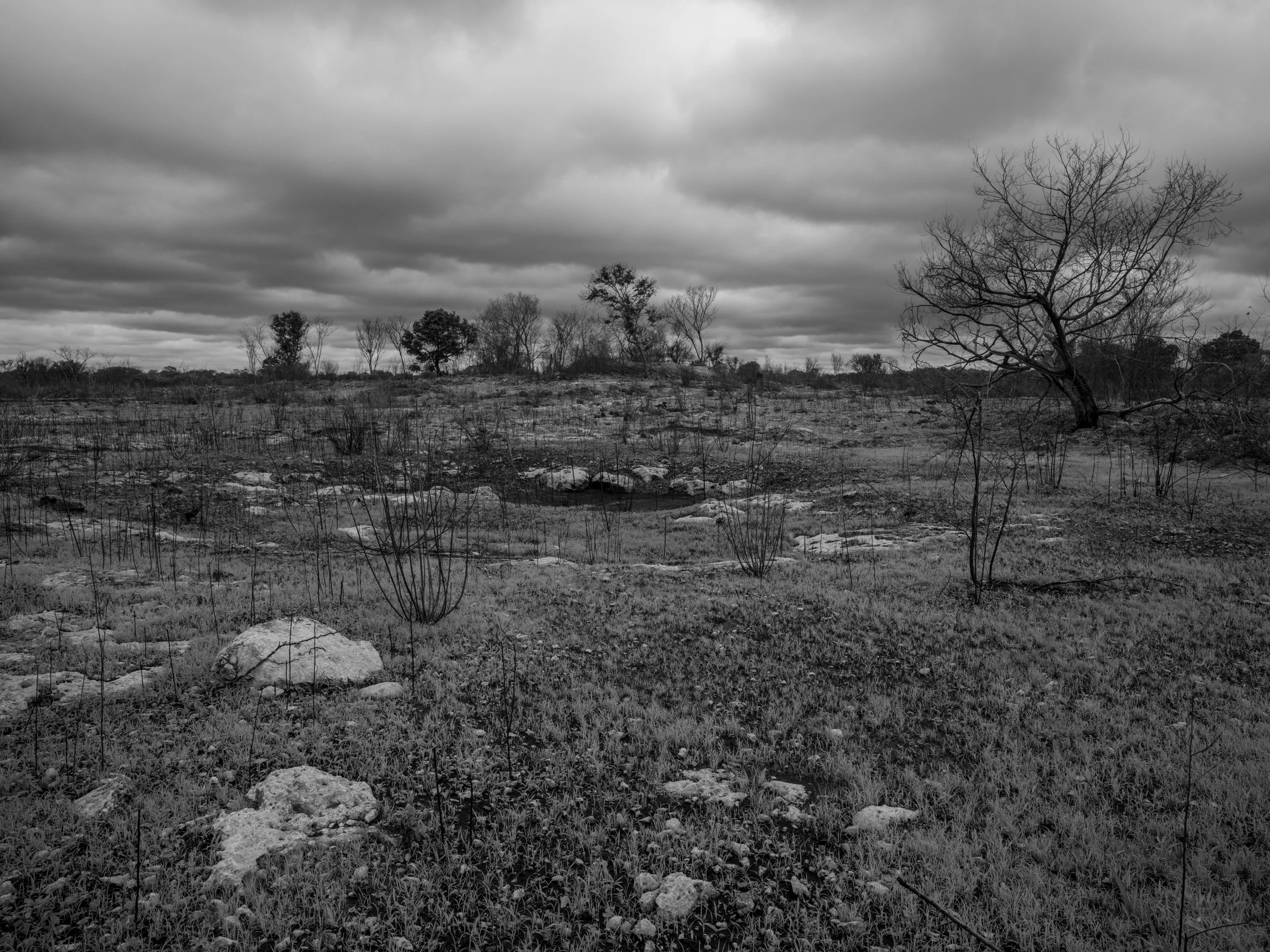 Black and white photograph of a barren landscape with scattered rocks and sparse, leafless trees under a cloudy sky.