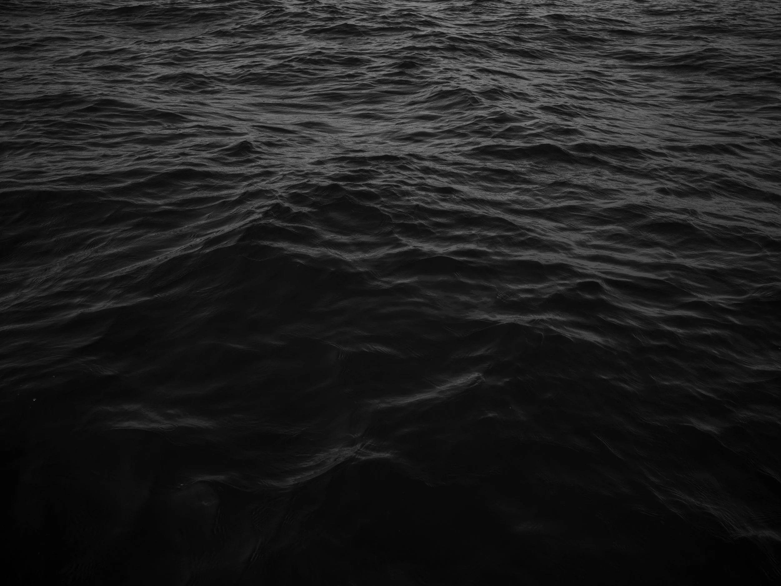 Open water with choppy waves and no visible land or objects.