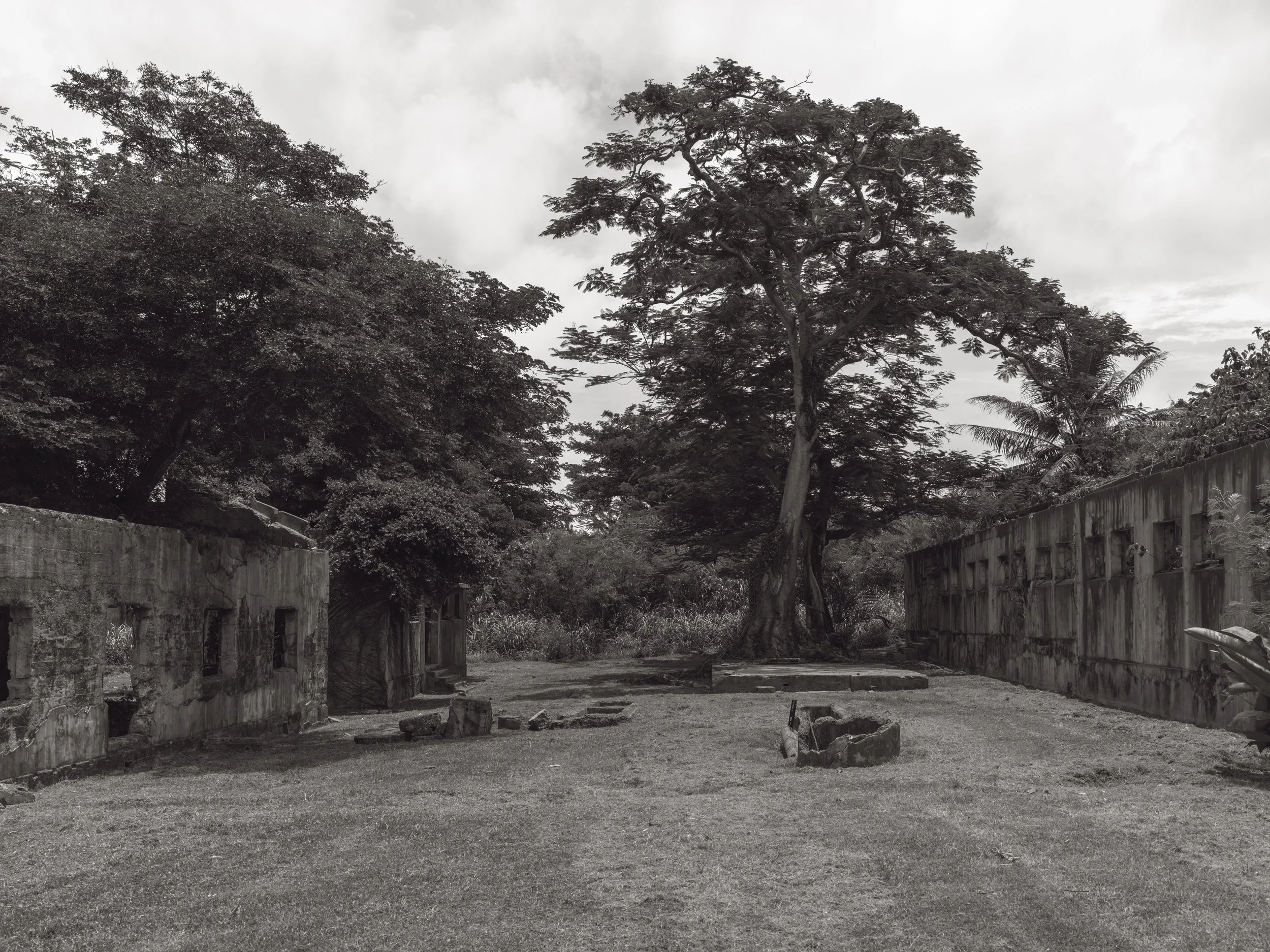 Black and white photo of an open area with stone walls on sides and a large tree in the center, under a cloudy sky.