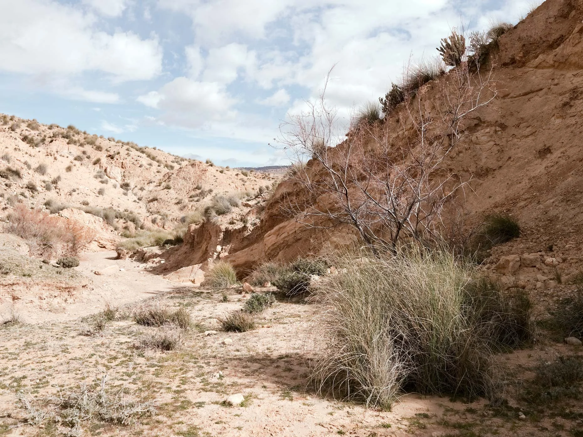A dry, desert landscape with sandy ground, sparse vegetation, a small leafless tree, and brownish cliffs under a partly cloudy sky.