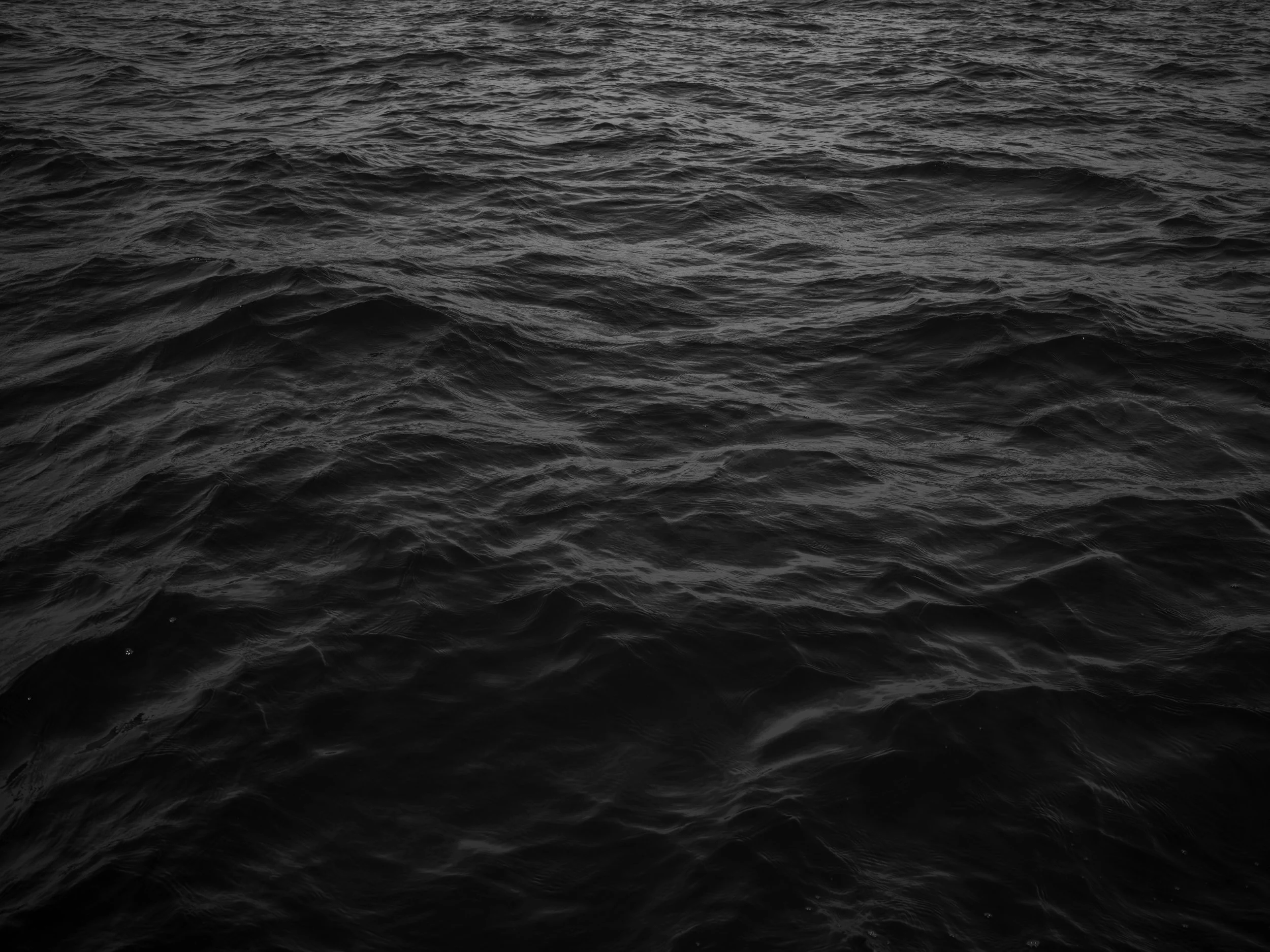 Dark, choppy ocean water with small waves.