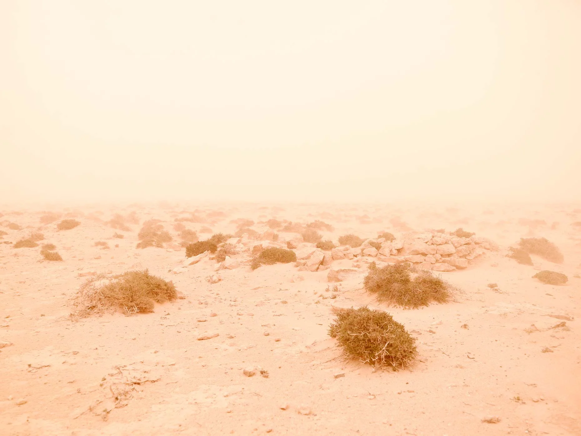 A desert landscape with scattered bushes and rocks under a hazy sky.