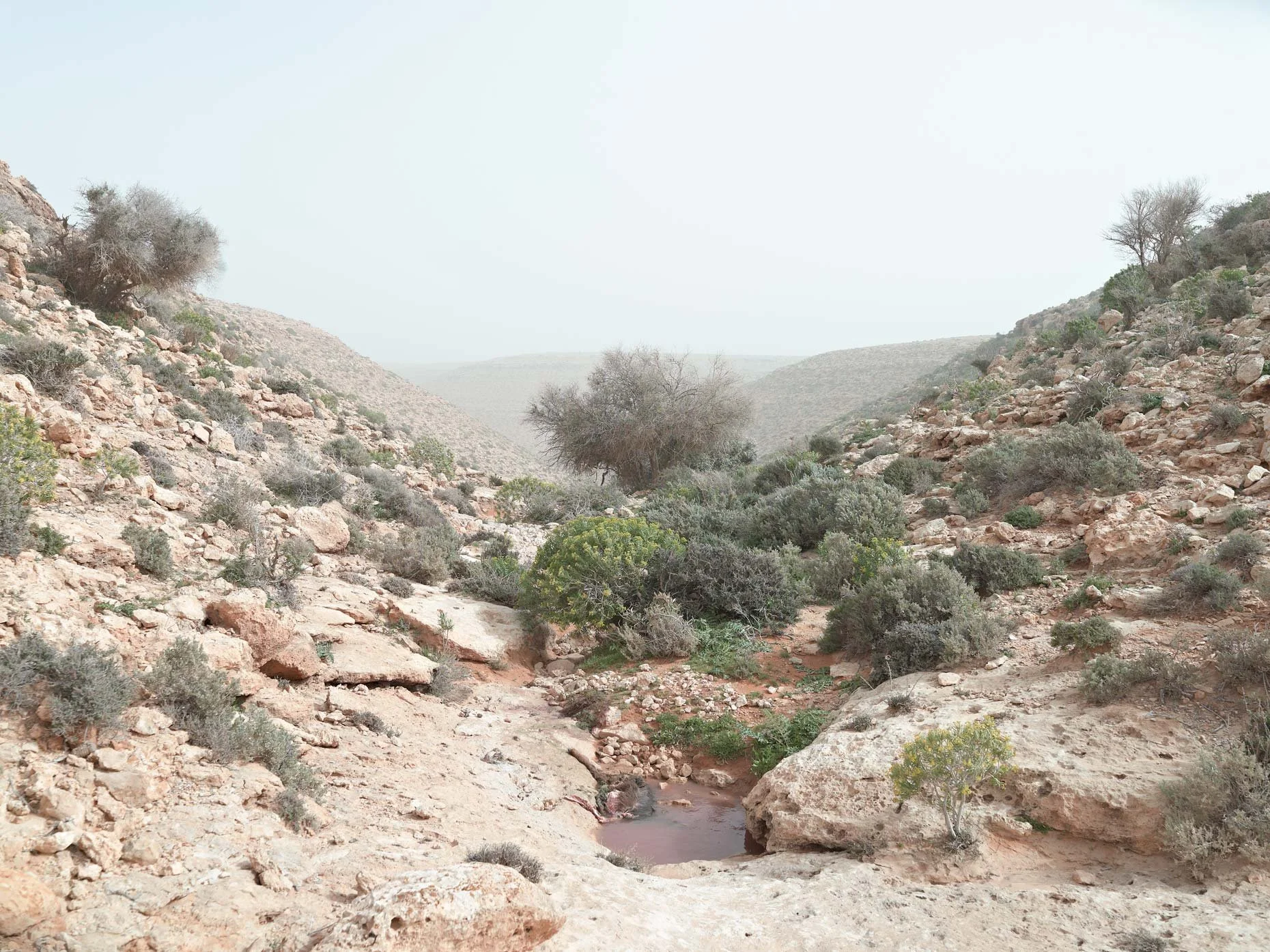 Arid desert landscape with rocky terrain, sparse vegetation, a small water pool, and distant hills under a clear sky.