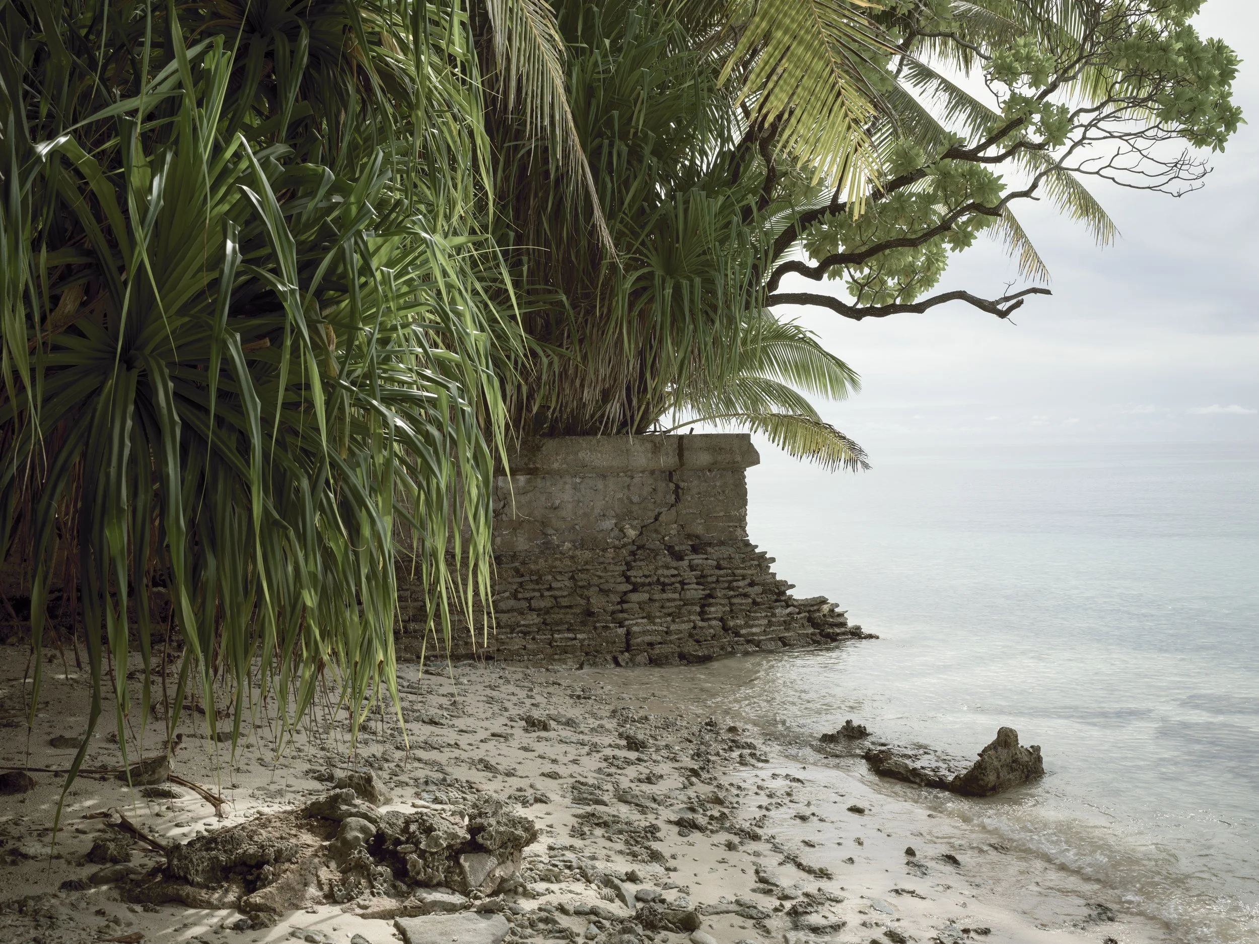 A sandy beach with rocks and plant roots, a stone wall, lush green plants hanging over the wall, and calm water in the background under an overcast sky.
