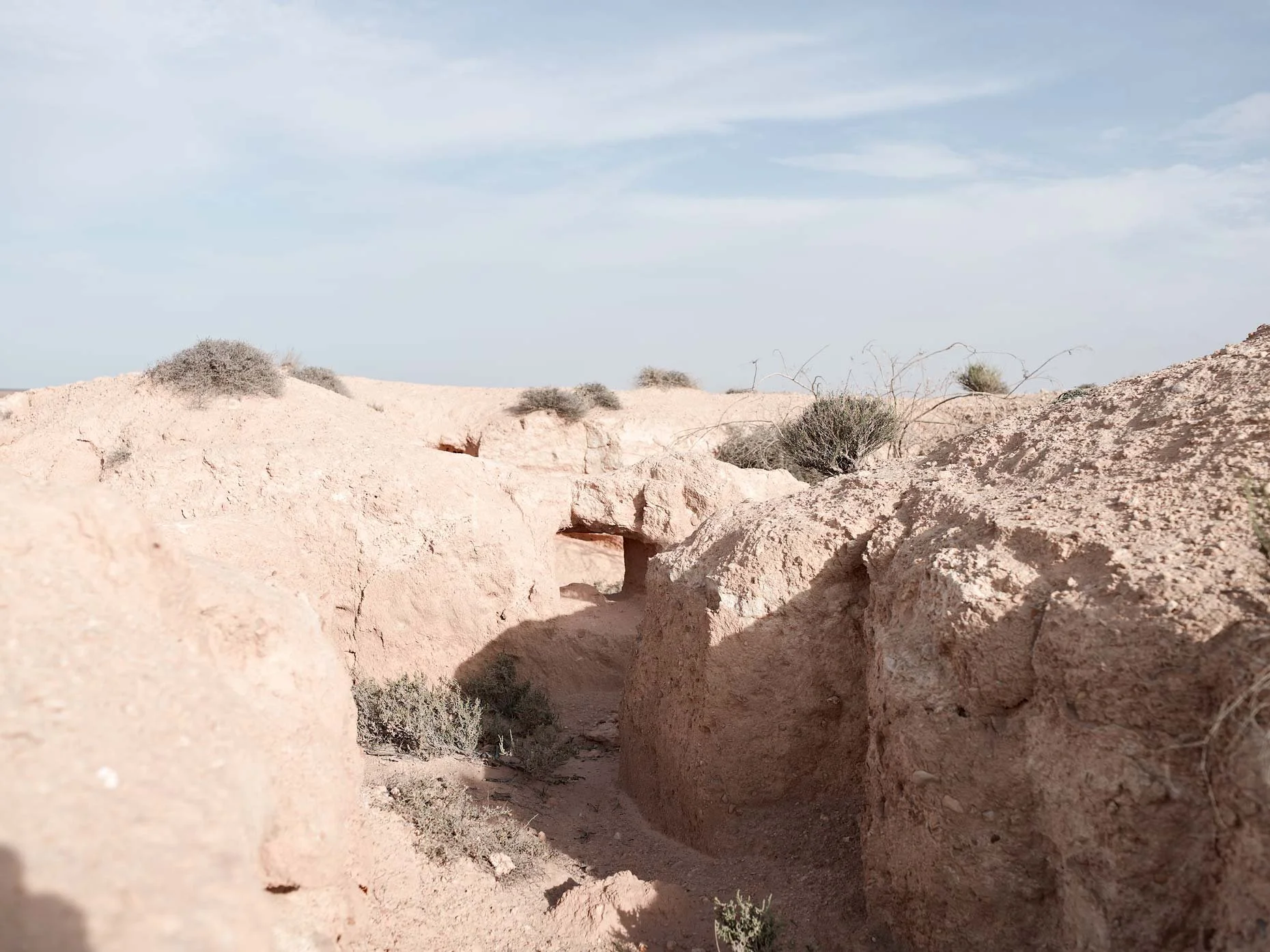Desert landscape with sandy terrain, small bushes, and a natural rock arch formation under a cloudy sky.