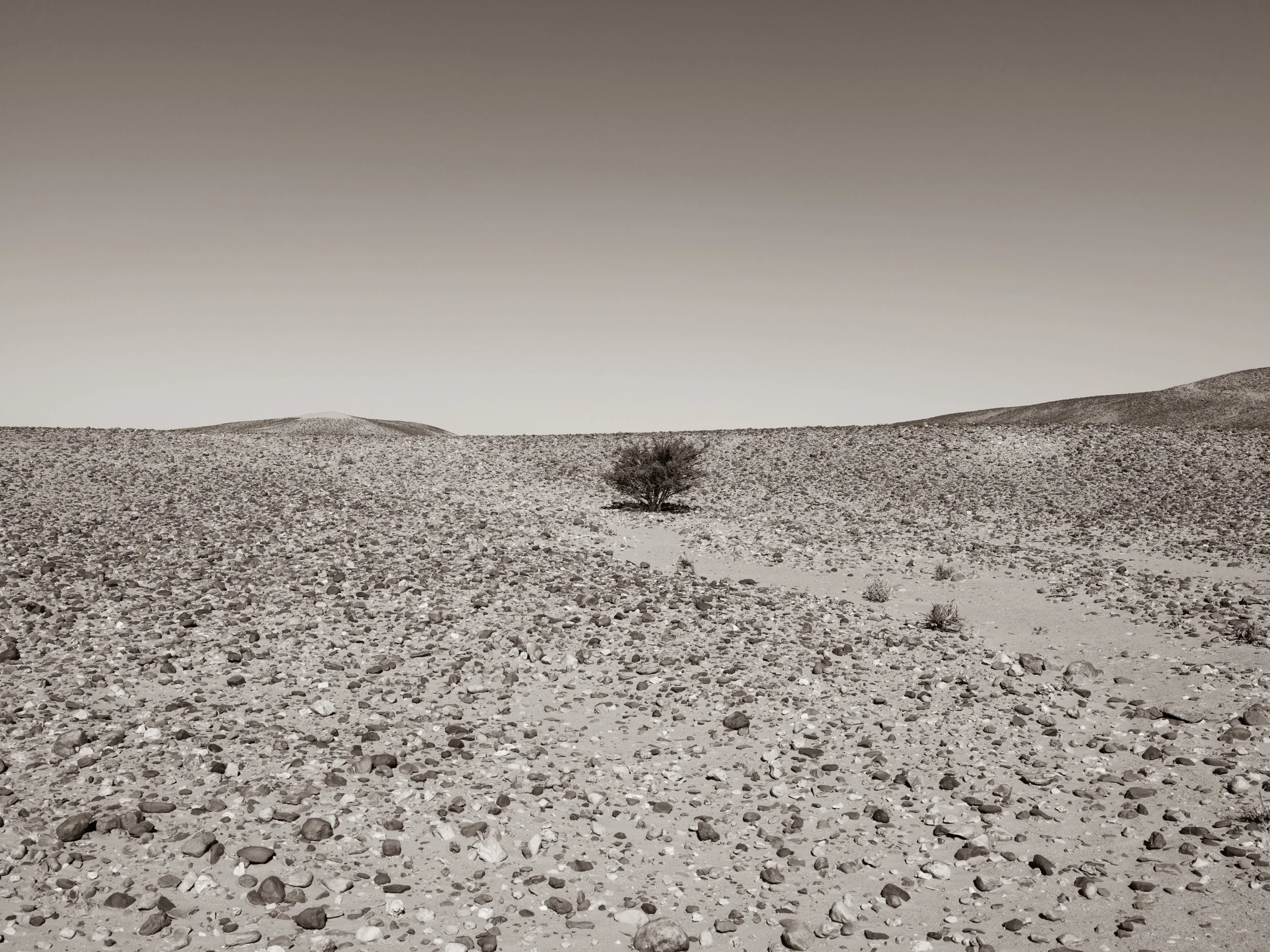 A barren desert landscape with a lone bush in the middle, rocky ground, distant hills, and a clear sky.