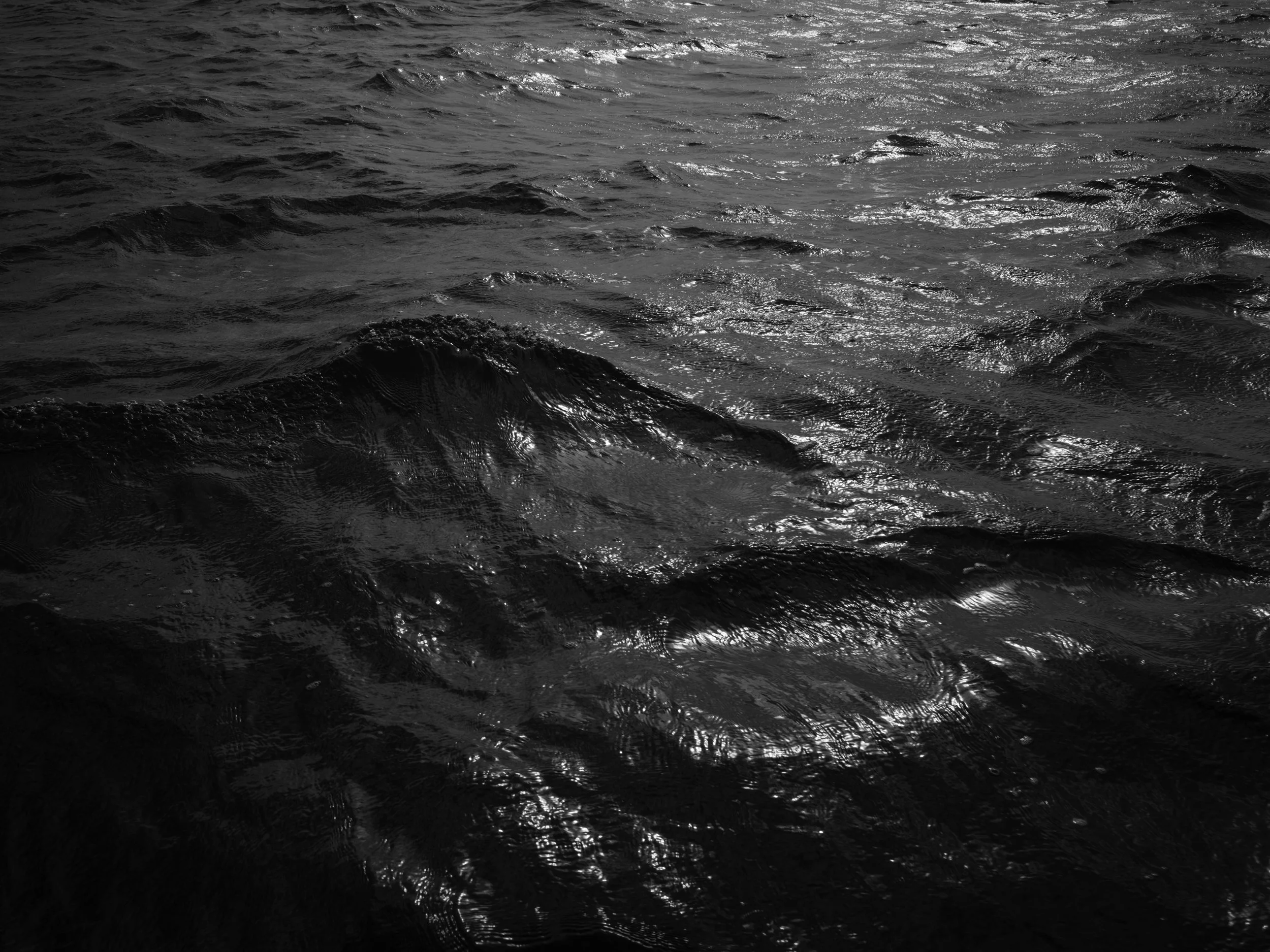 Calm ocean surface with gentle waves and sunlight reflecting off the water.