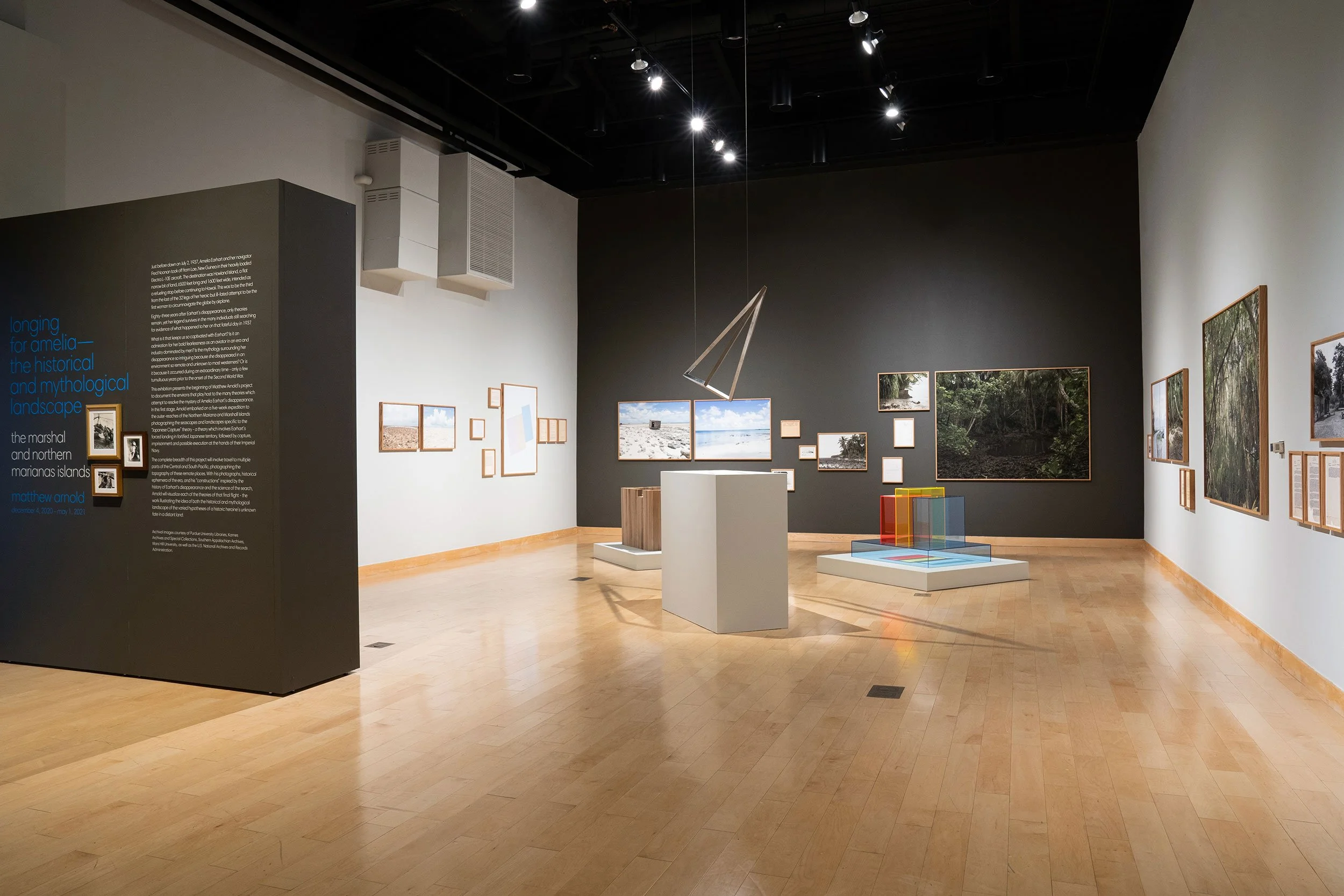 Exhibition image of Longing for Amelia