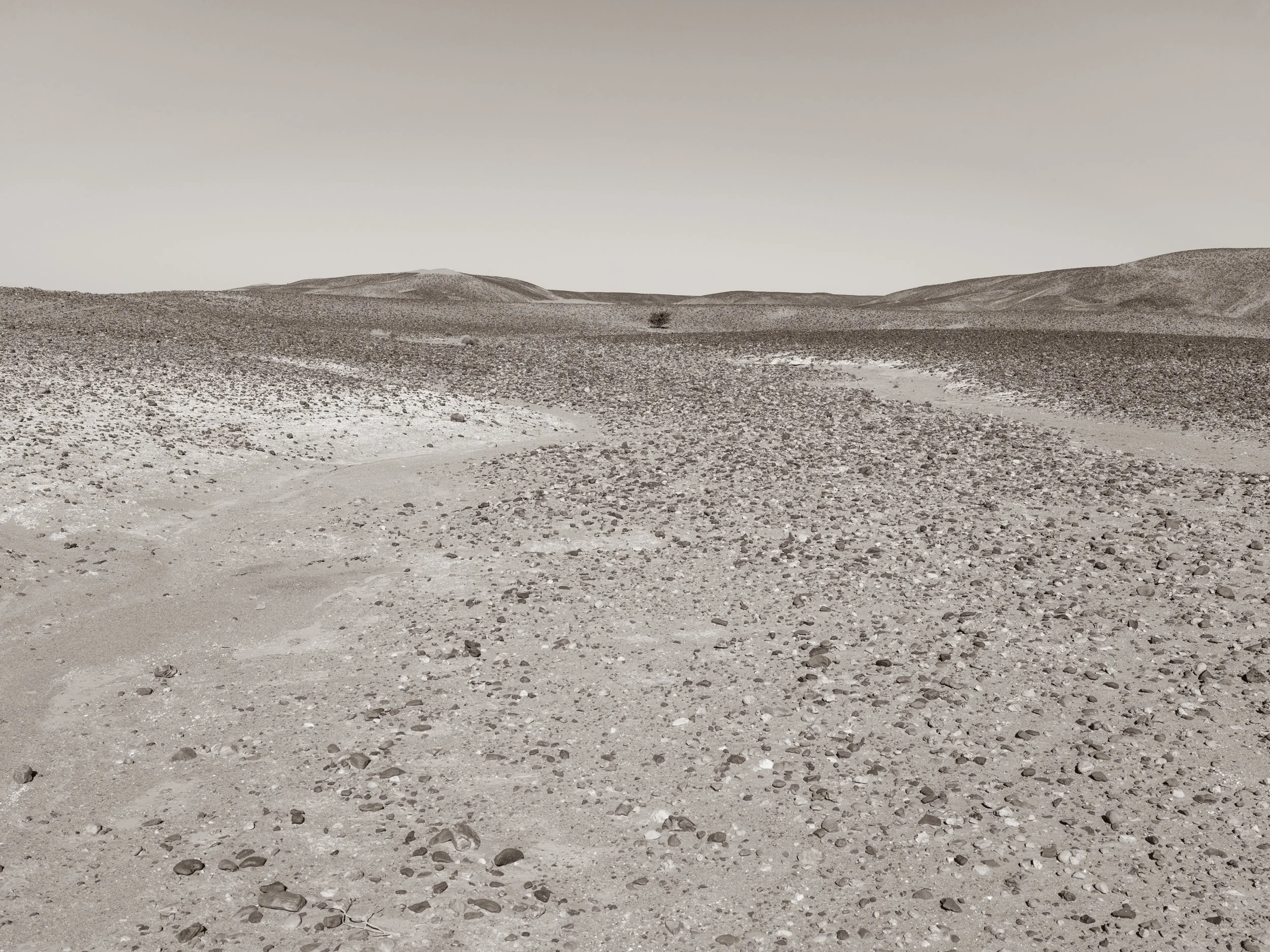 A barren desert landscape with uneven ground and small rocks, dunes in the distance, and an overcast sky.
