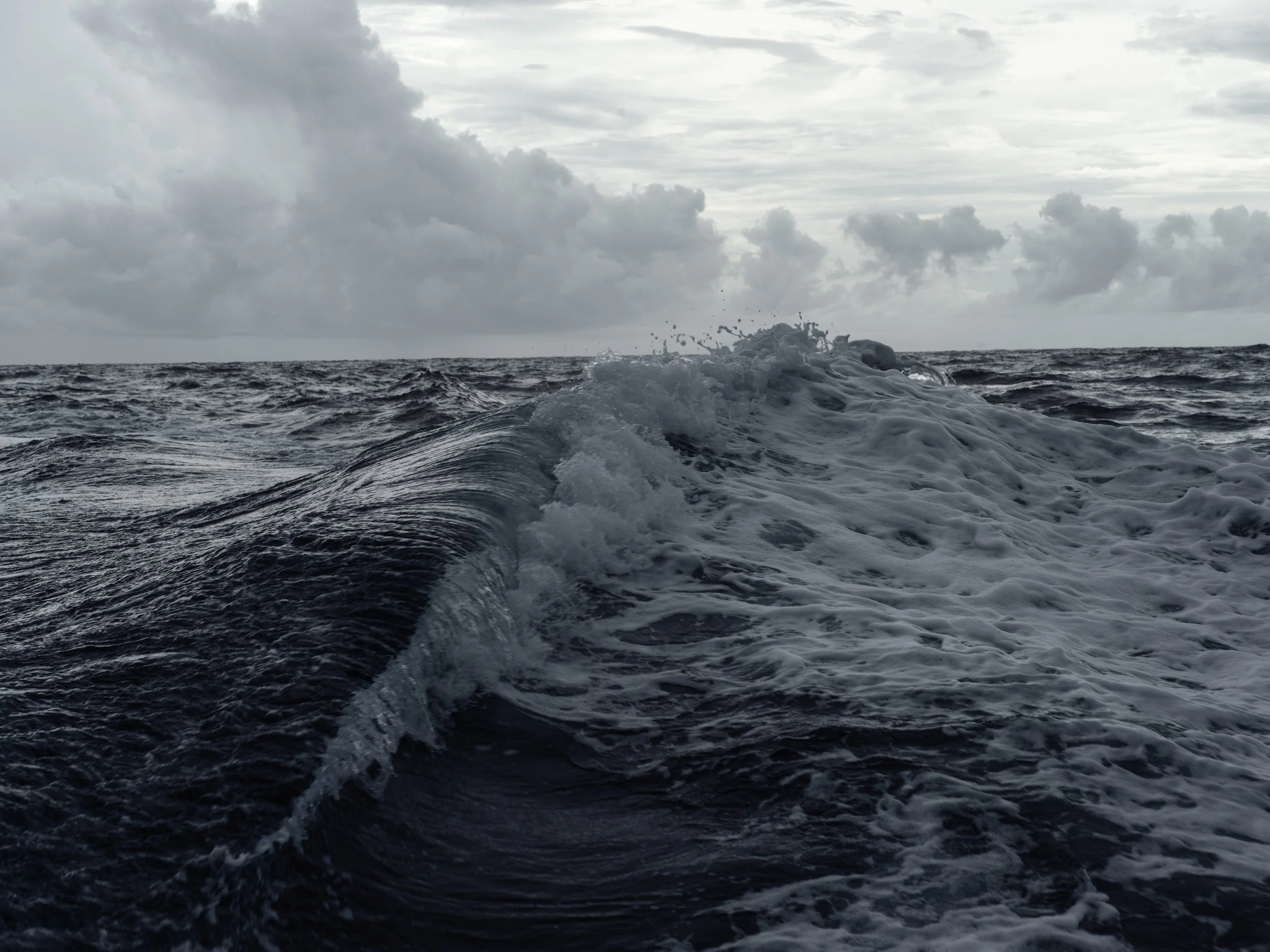Overcast sky above a rough ocean with waves and foam.