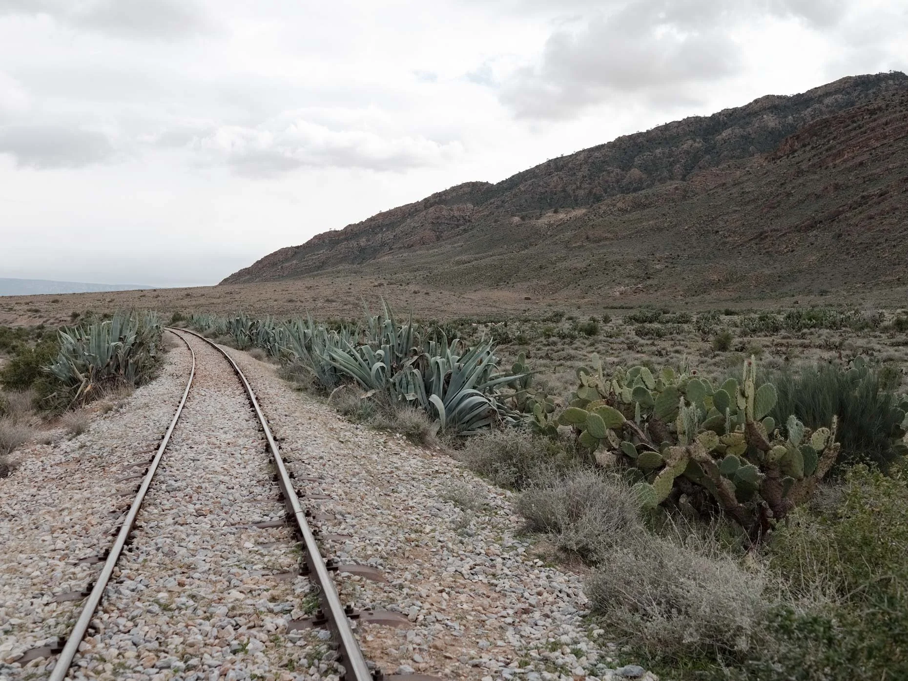 A desert landscape with mountain ranges in the background, a trail of railroad tracks, and desert plants such as cacti and agave on either side.