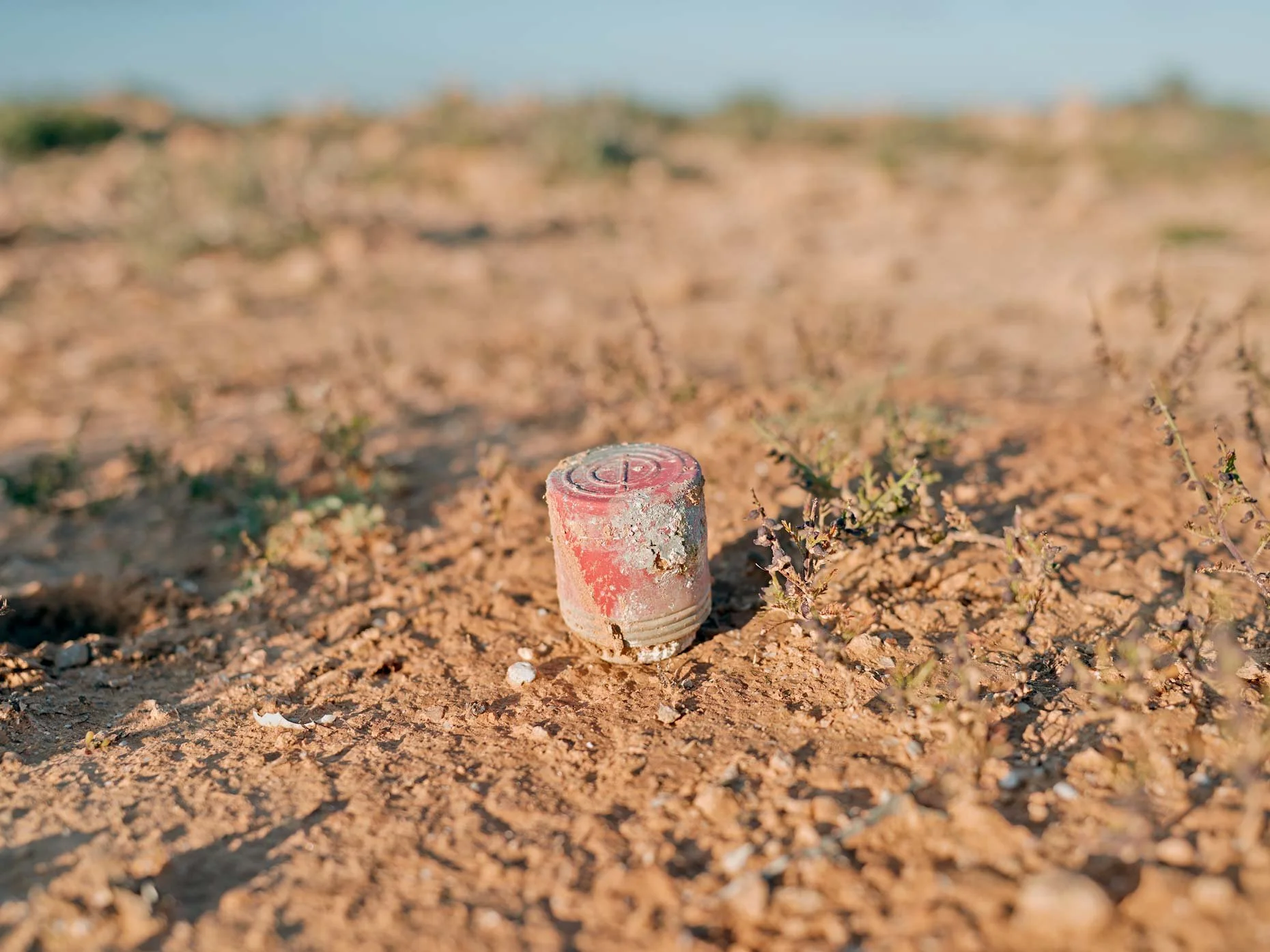 Close-up of a faded red sprinkler head in dry, cracked dirt with sparse small plants.