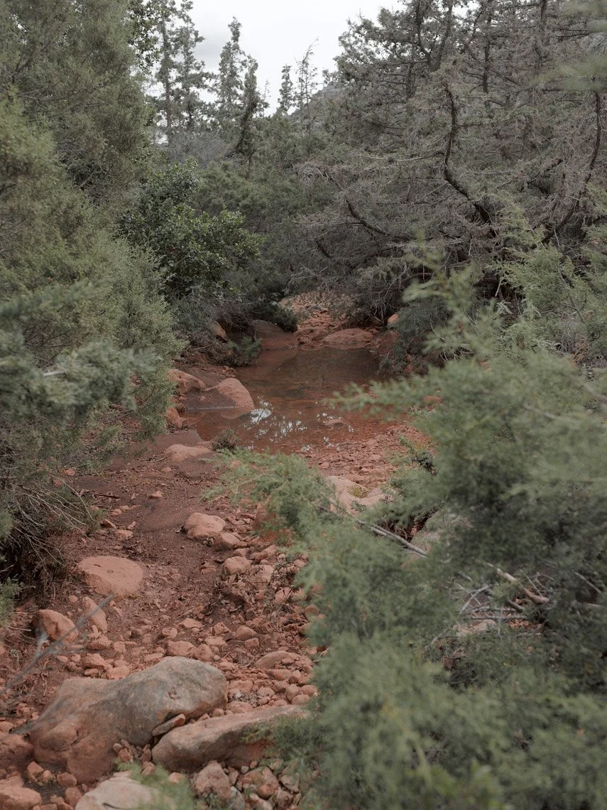 A small dry creek with reddish rocks and green bushes on both sides, in a wooded area with trees and cloudy sky.