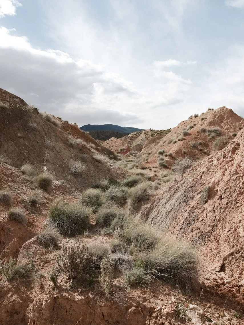 Arid desert landscape with reddish soil, scattered bushes, and rolling hills under a partly cloudy sky.