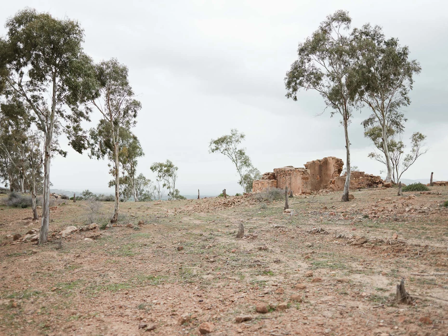 A rural landscape with scattered trees and dry, rocky ground. In the background, there is a weathered, abandoned brick structure and a cloudy sky.