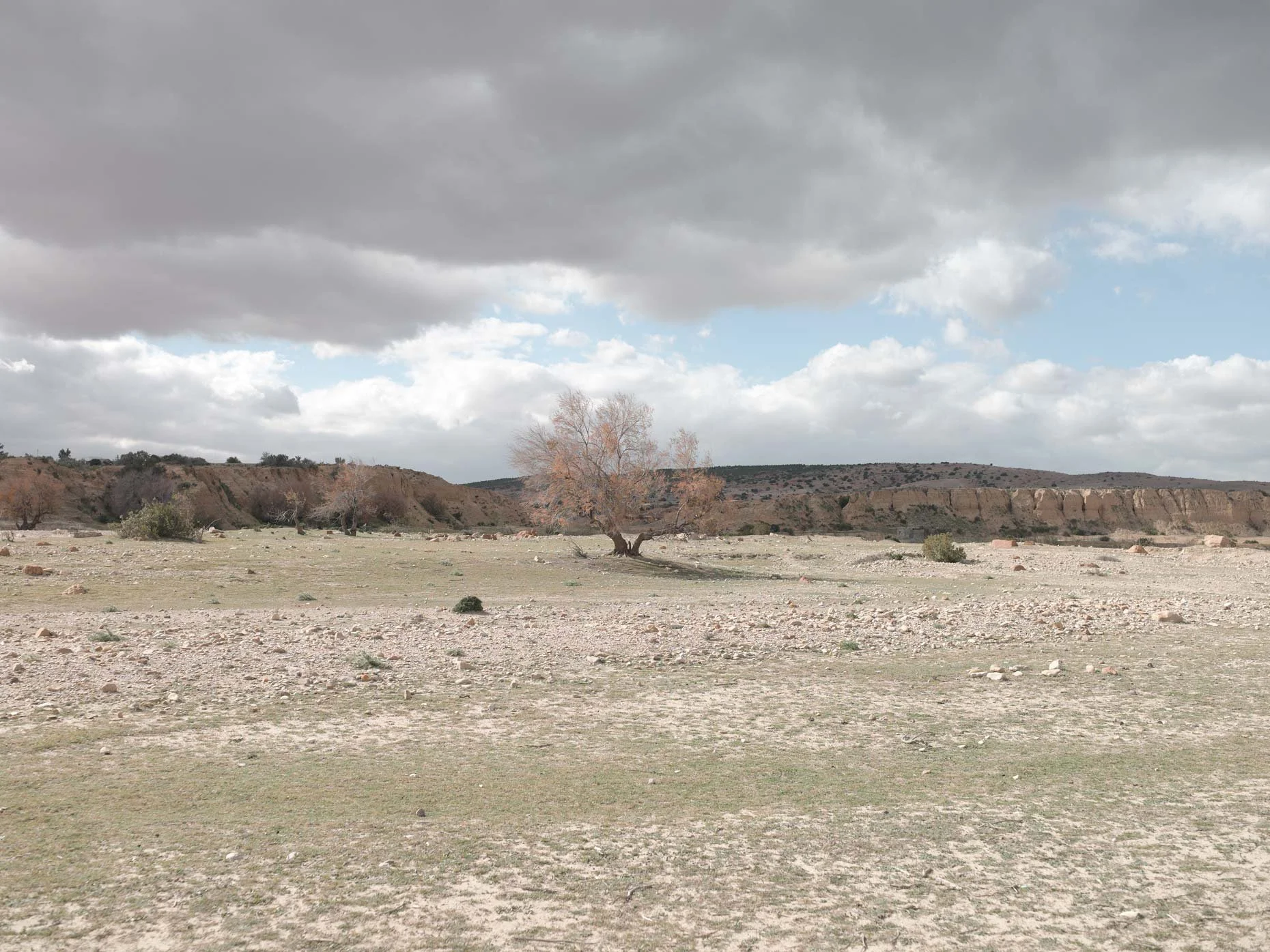 A desolate desert landscape with a lone, leafless tree in the center. The sky is overcast with dark clouds, and distant hills with sparse vegetation are visible in the background.
