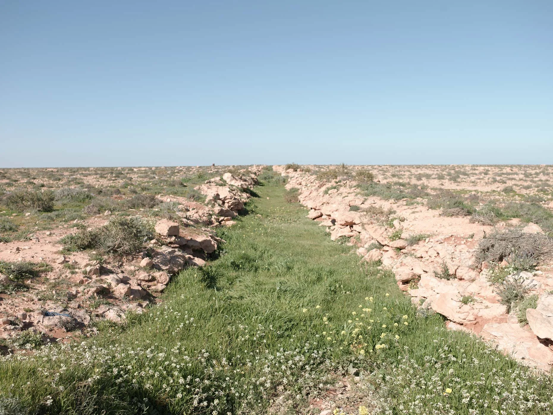 A green grassy pathway through a rocky desert landscape under a clear blue sky.