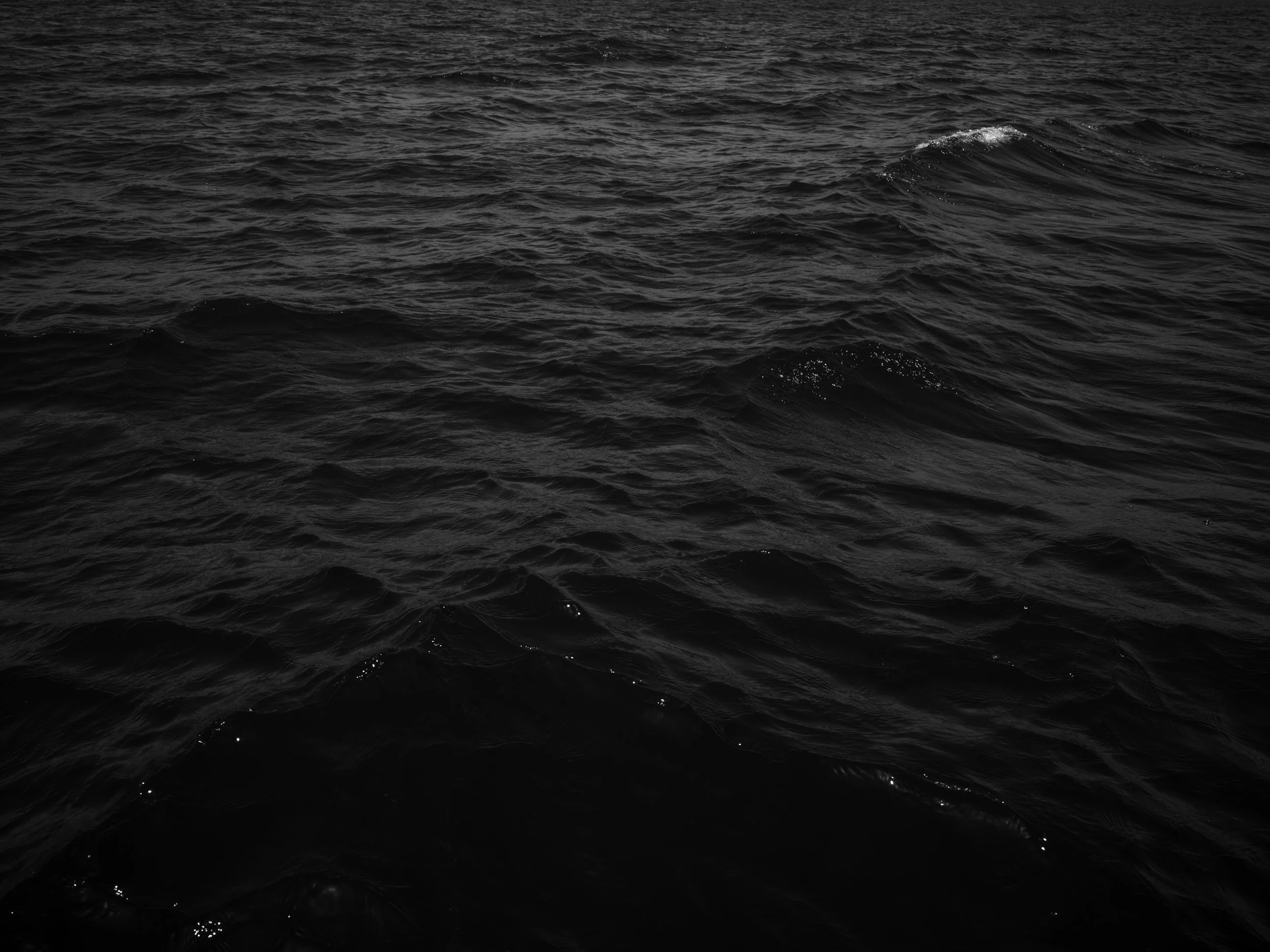 Dark ocean water with small waves and white foam.
