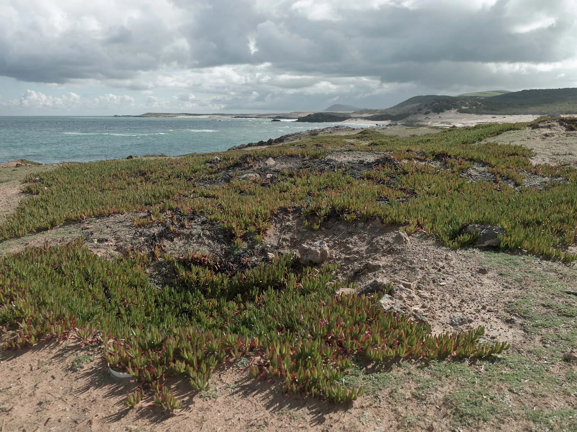 View of a coastal landscape with sandy shores, rocky outcrops, and green plants in the foreground. The ocean stretches to the horizon under a cloudy sky with dark clouds overhead.