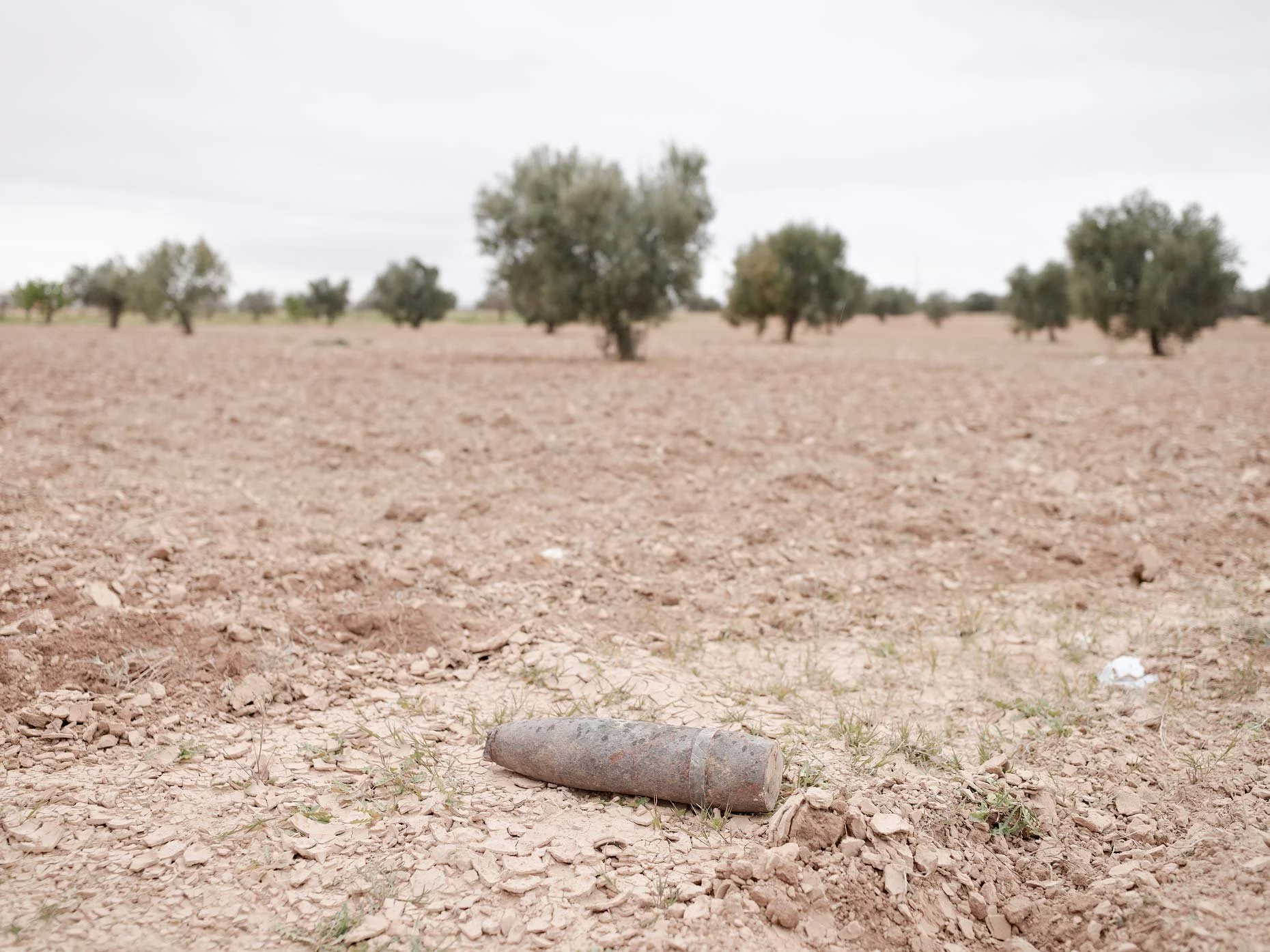 A barren, rocky desert landscape with sparse grass patches, a discarded rusted shell casing in the foreground, and a few small trees scattered in the background under a cloudy sky.