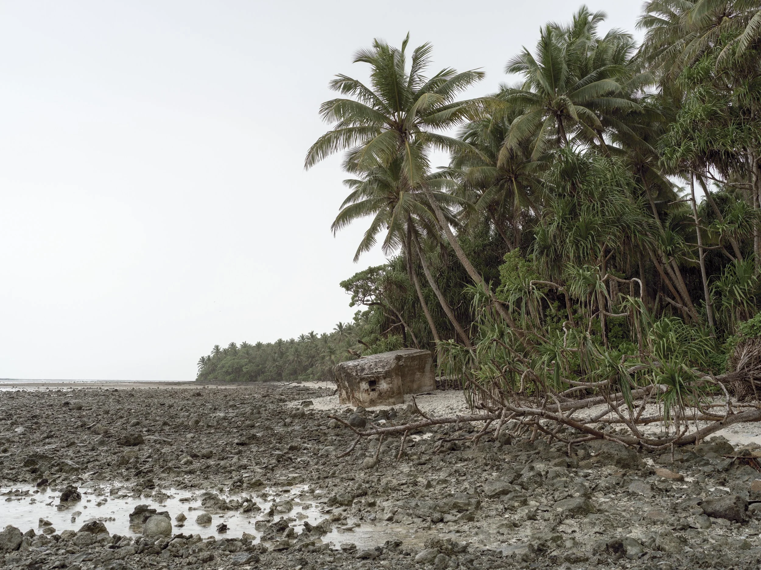 A tropical beach with palm trees and rocky shoreline under a cloudy sky.