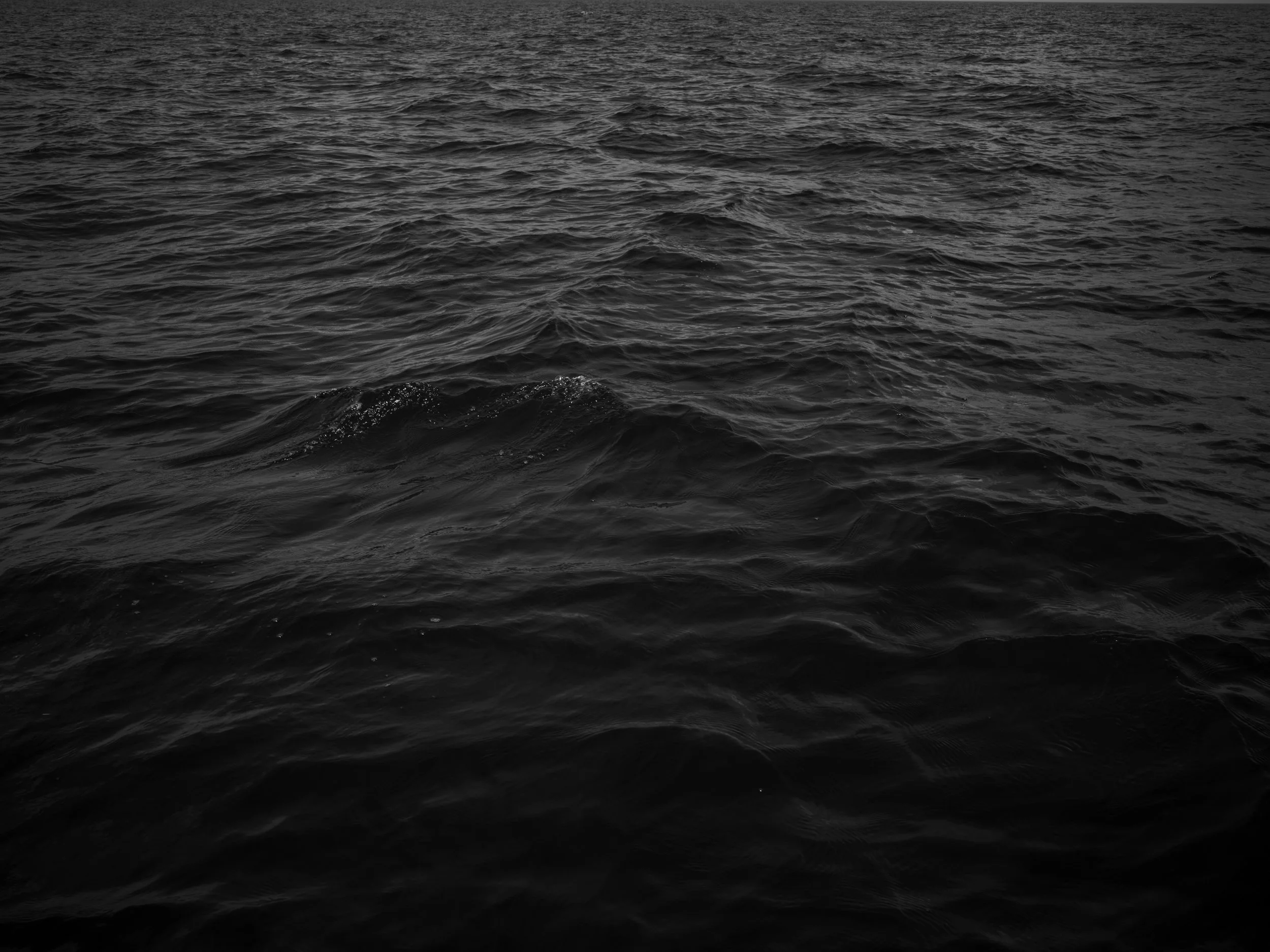 Dark, choppy ocean water with no visible land or objects.
